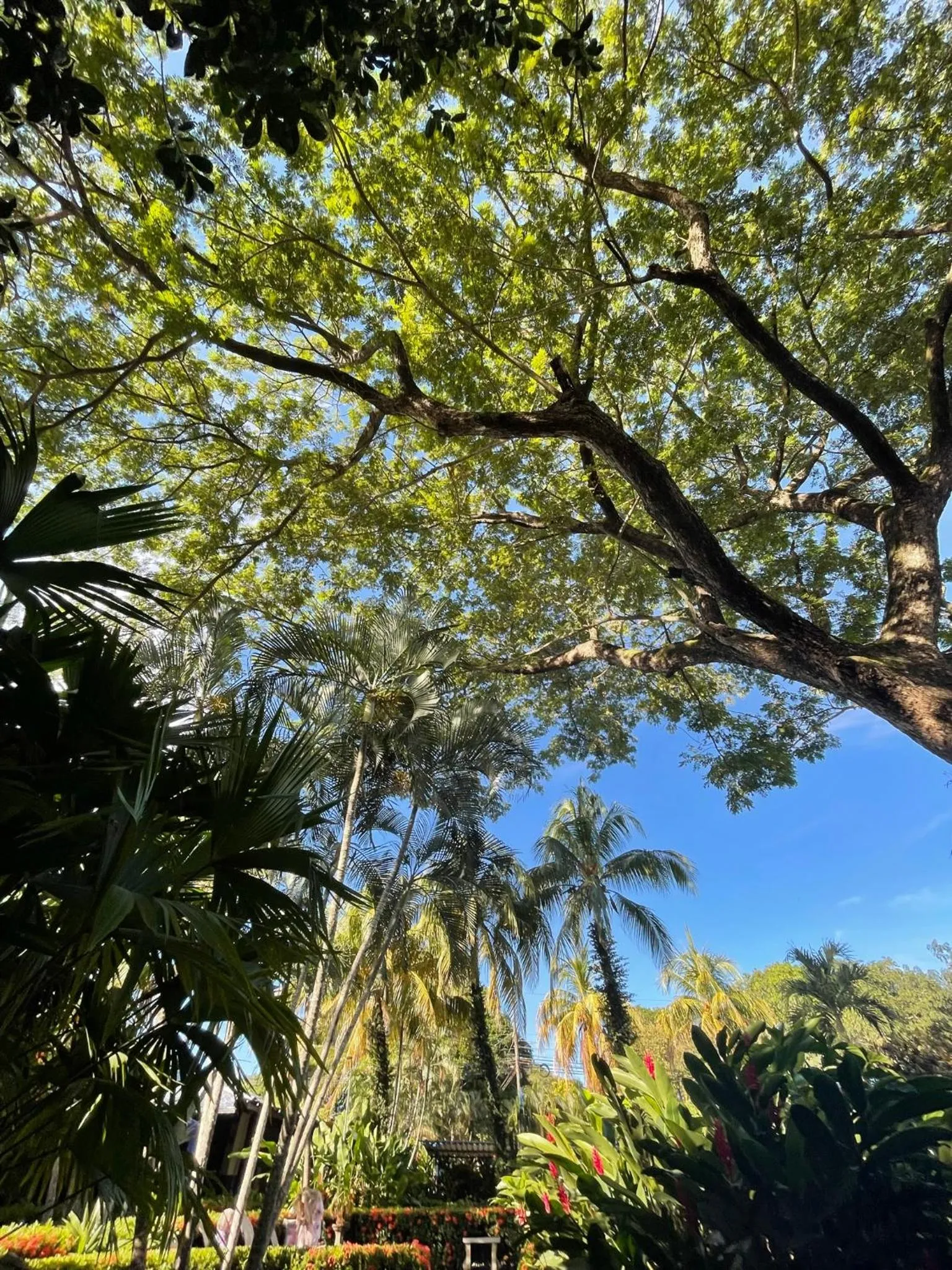 Garden view in La Puerta del Sol