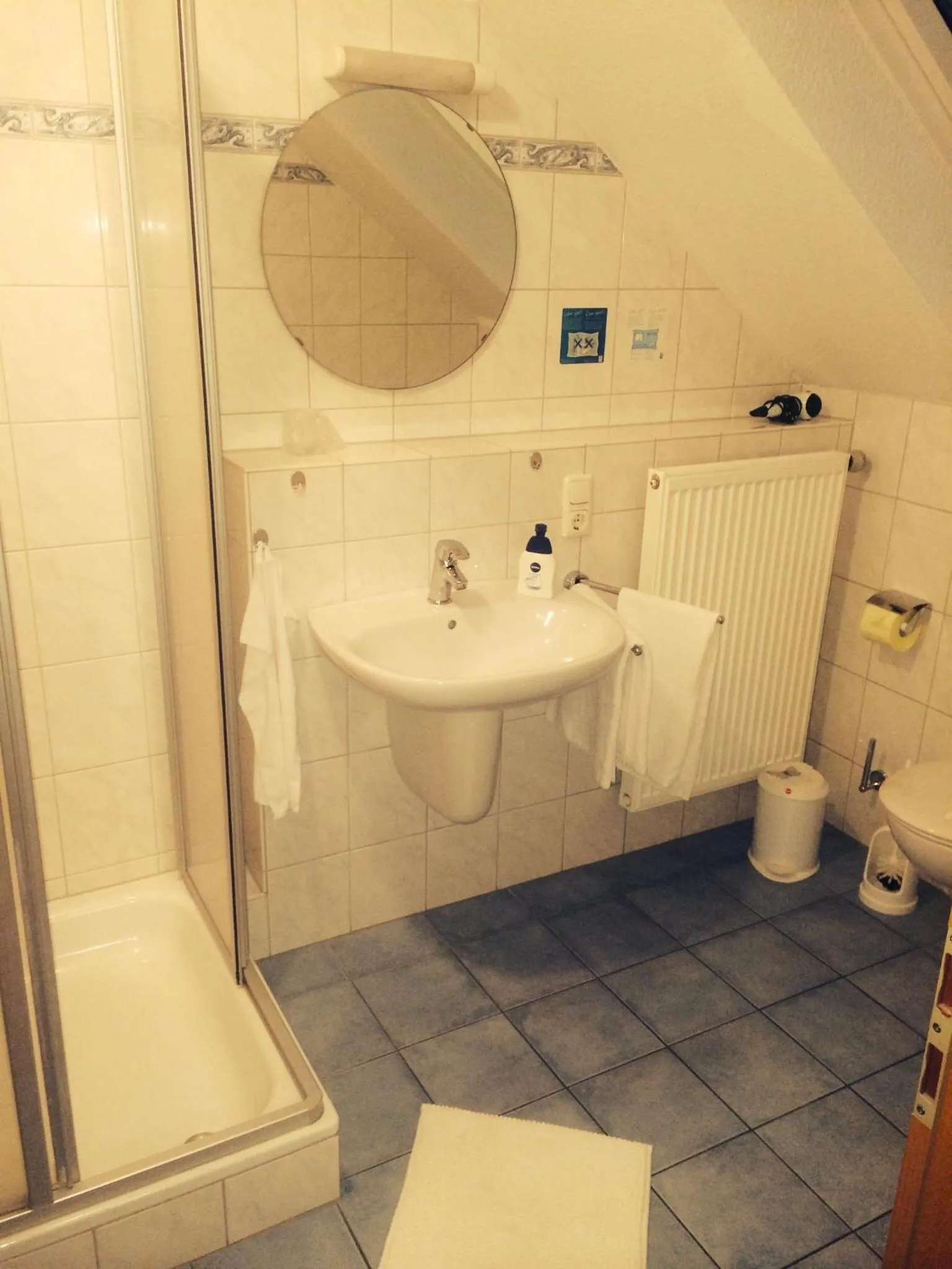 Toilet in Hotel Friesenhof