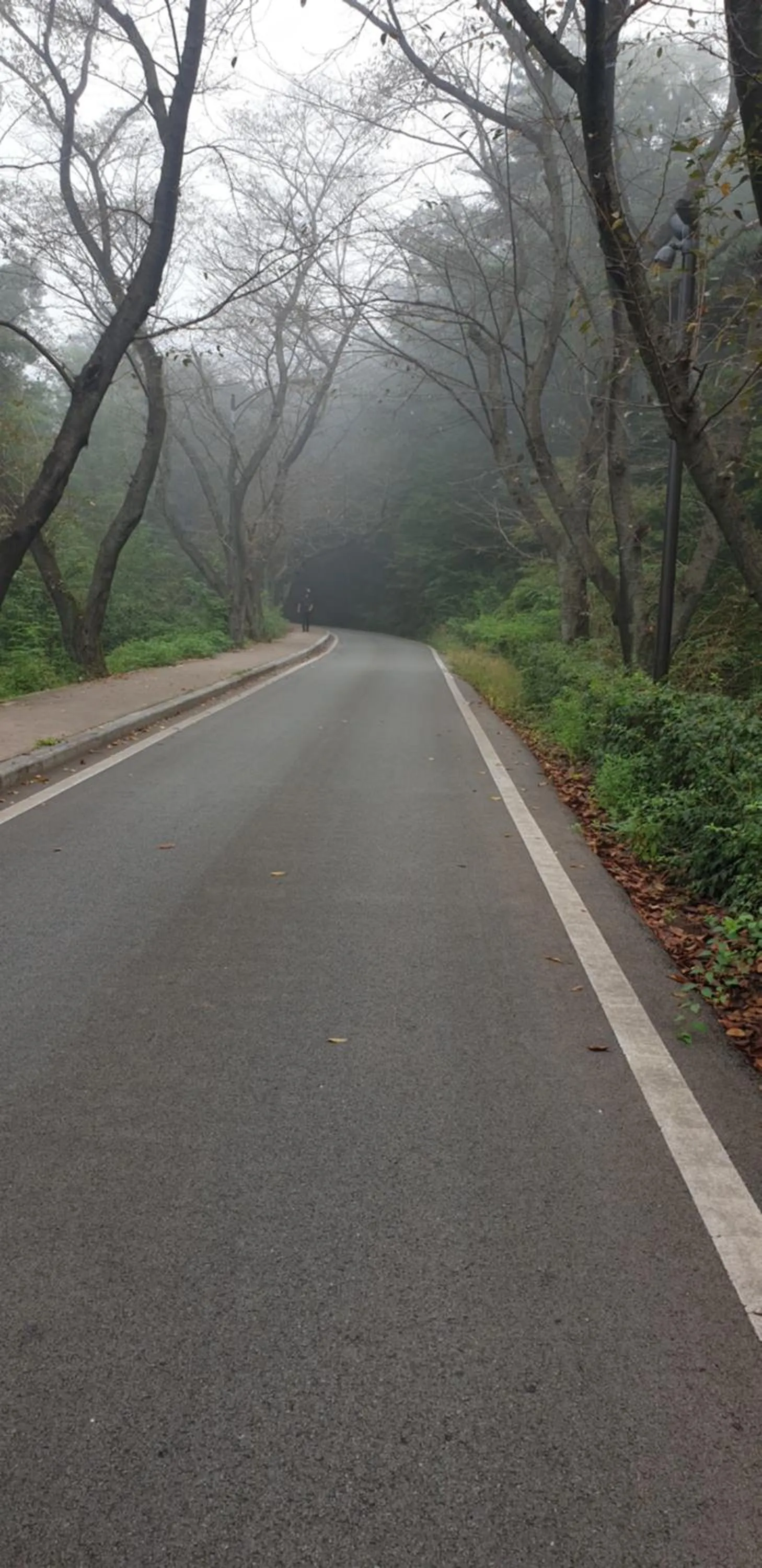 Neighbourhood in JI Boutique Hotel