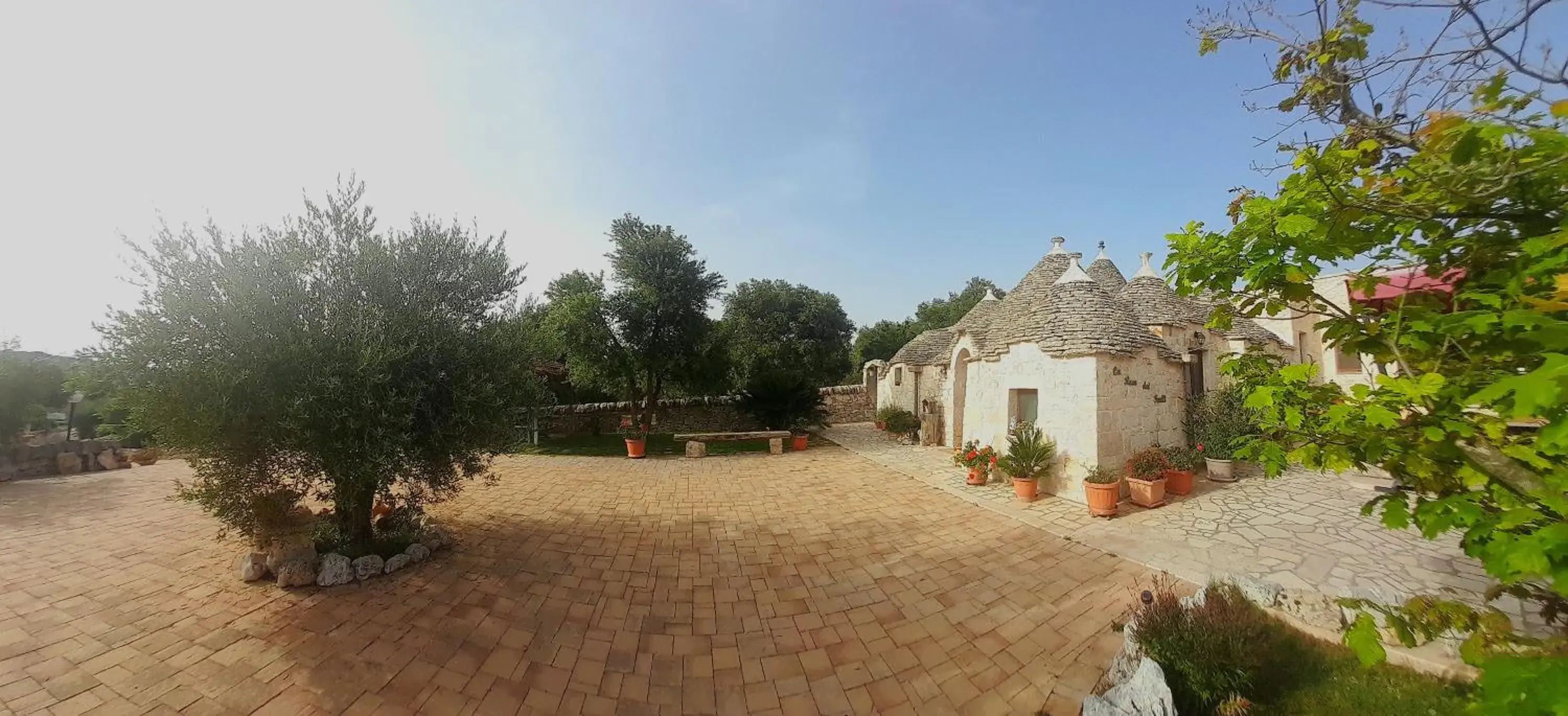 La Rosa dei Trulli B&B La Rosa dei Trulli B&B