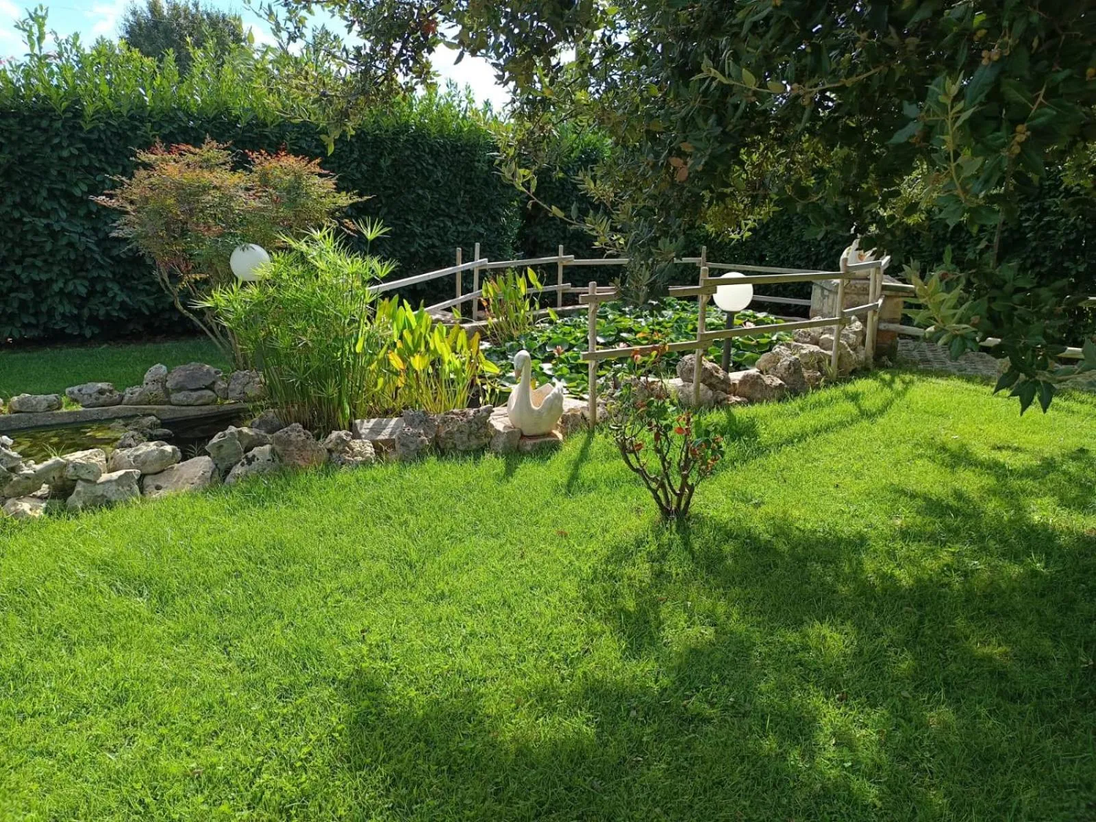 Day in La Rosa dei Trulli B&B