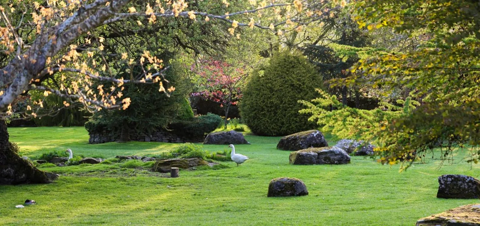 Garden view in Errichel House and Cottages