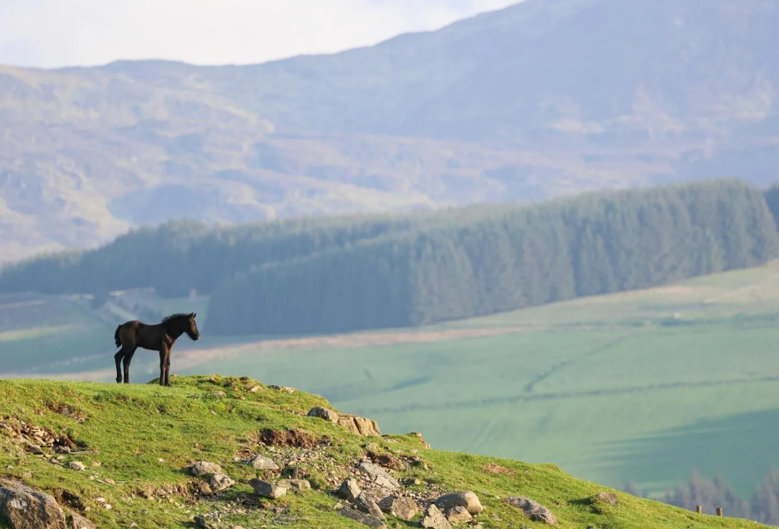 View (from property/room) in Errichel House and Cottages