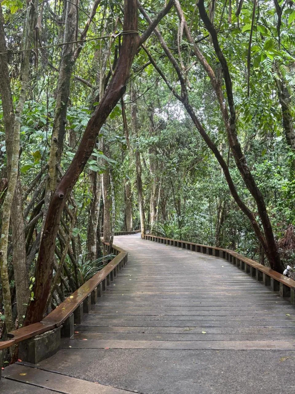 Garden in Lakwa Motel Lio