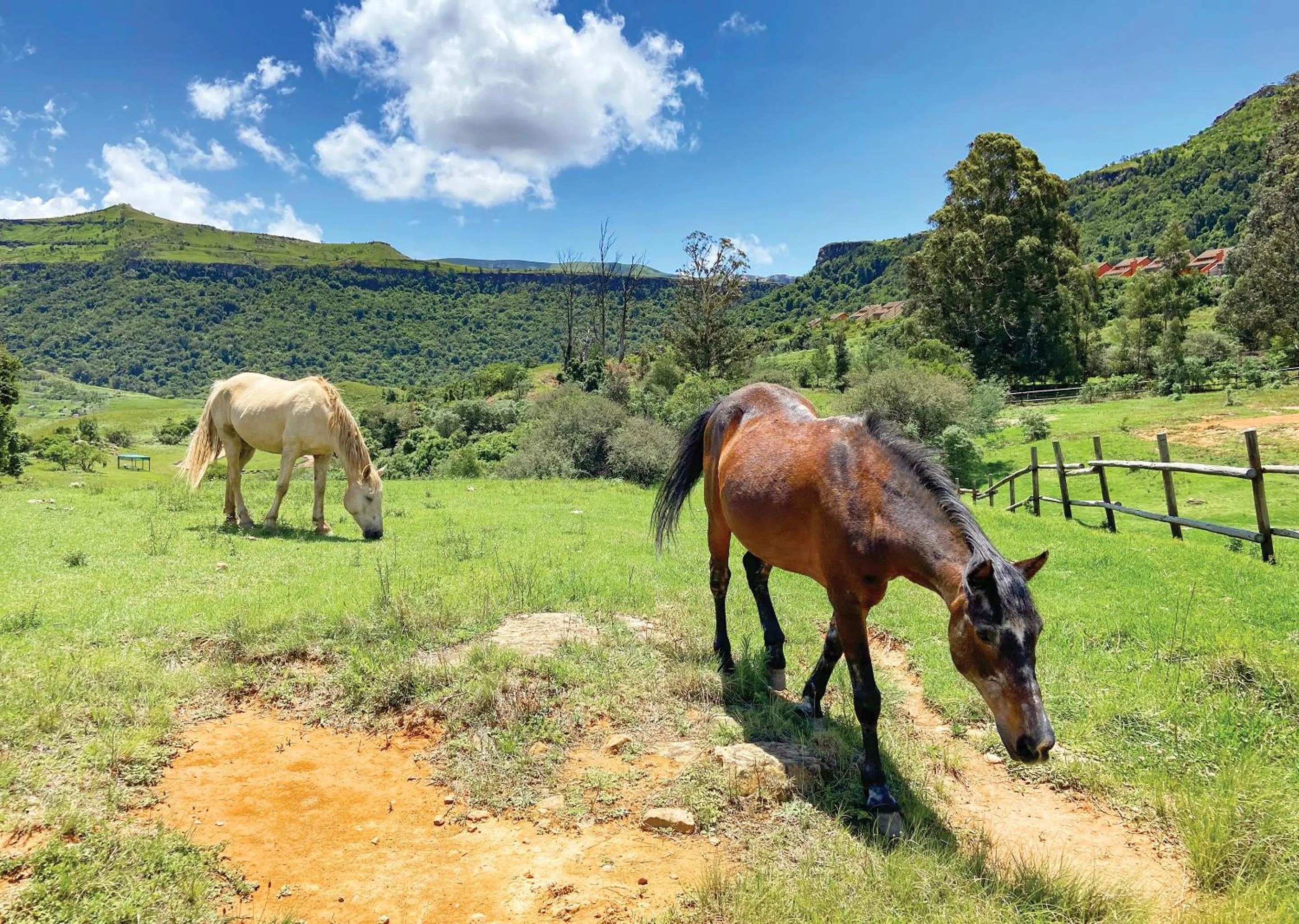 Natural landscape in Little Switzerland Resort by Dream Resorts