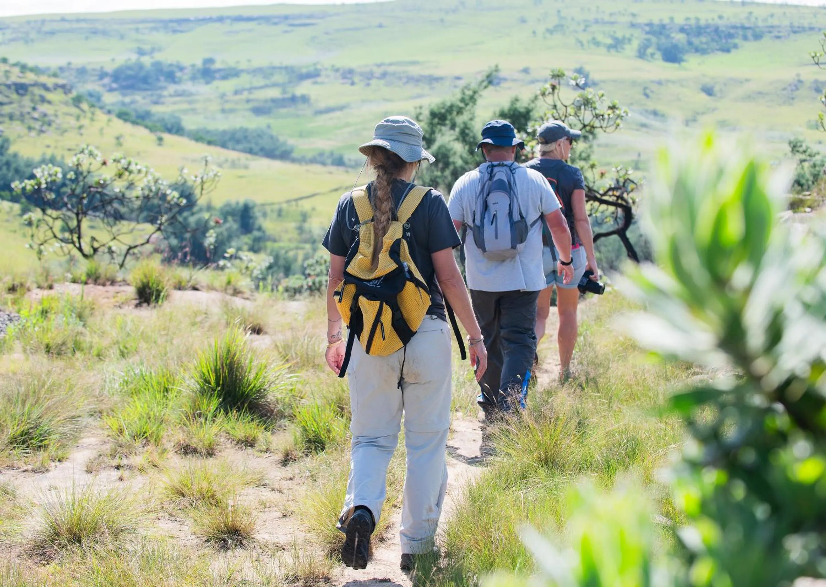 Spring in Little Switzerland Resort by Dream Resorts