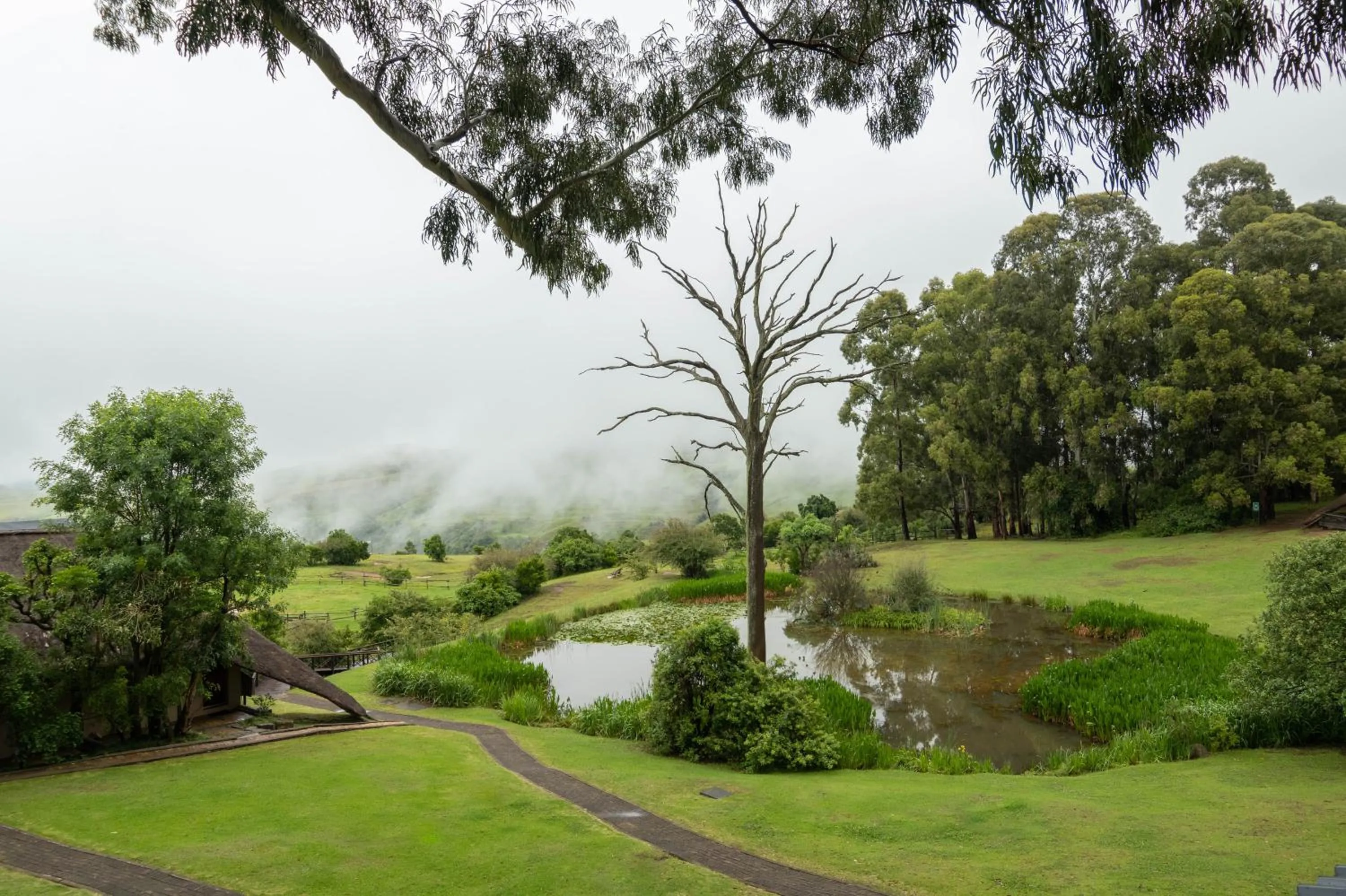 View (from property/room) in Little Switzerland Resort by Dream Resorts