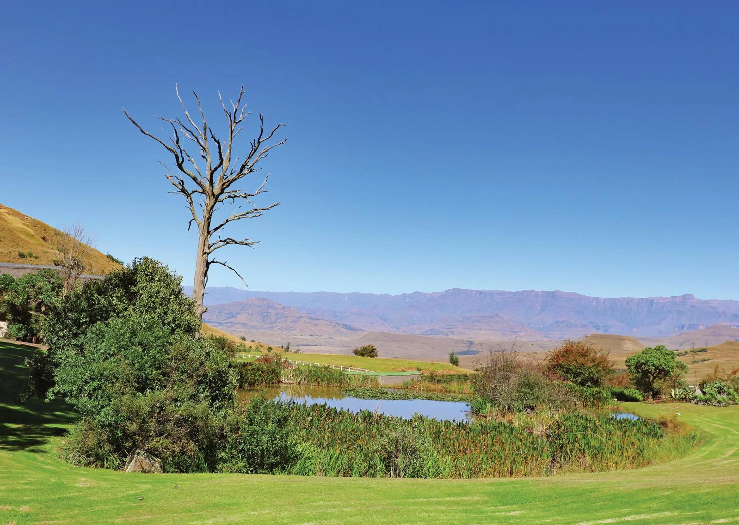 Natural landscape in Little Switzerland Resort by Dream Resorts