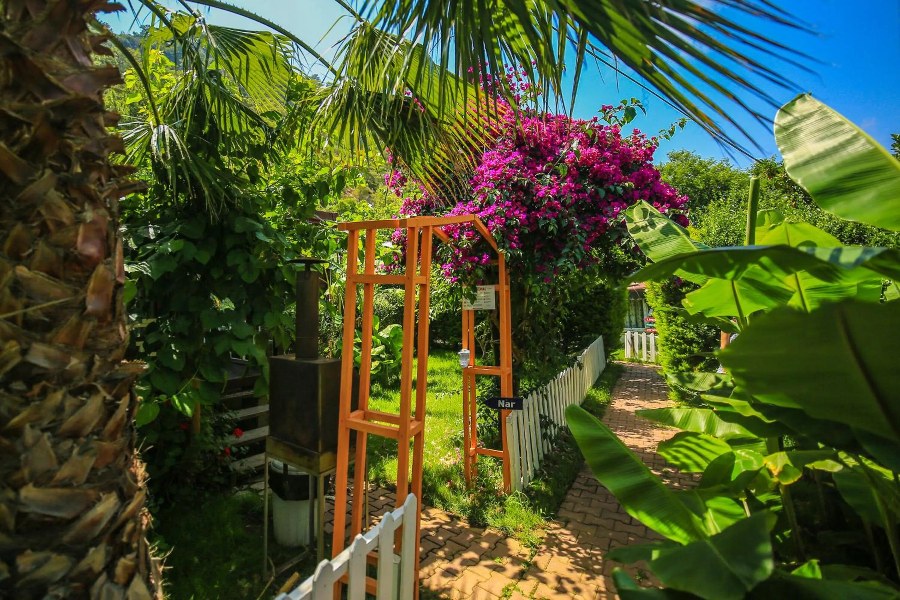 Garden view in Villa Zeytin