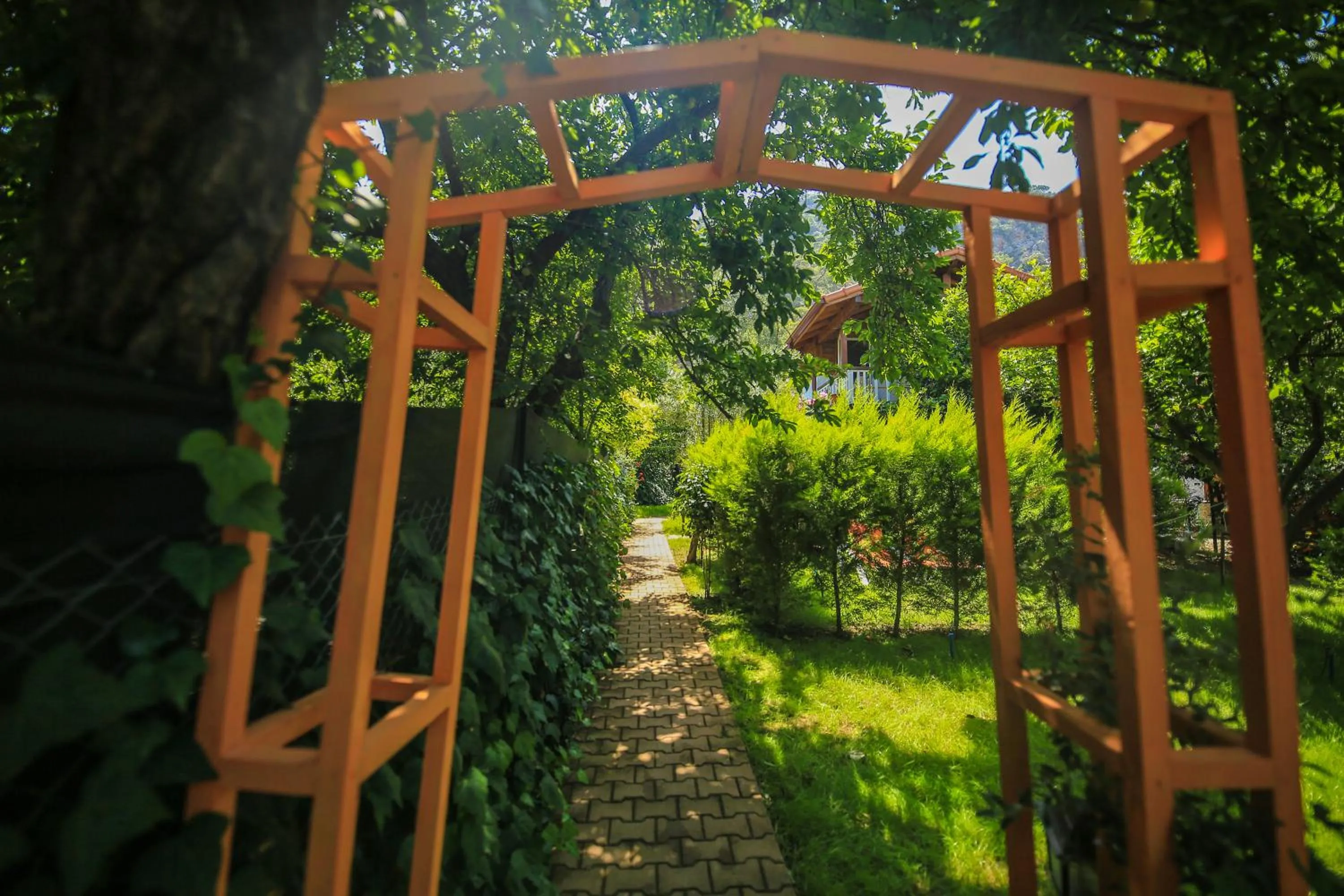 Garden in Villa Zeytin