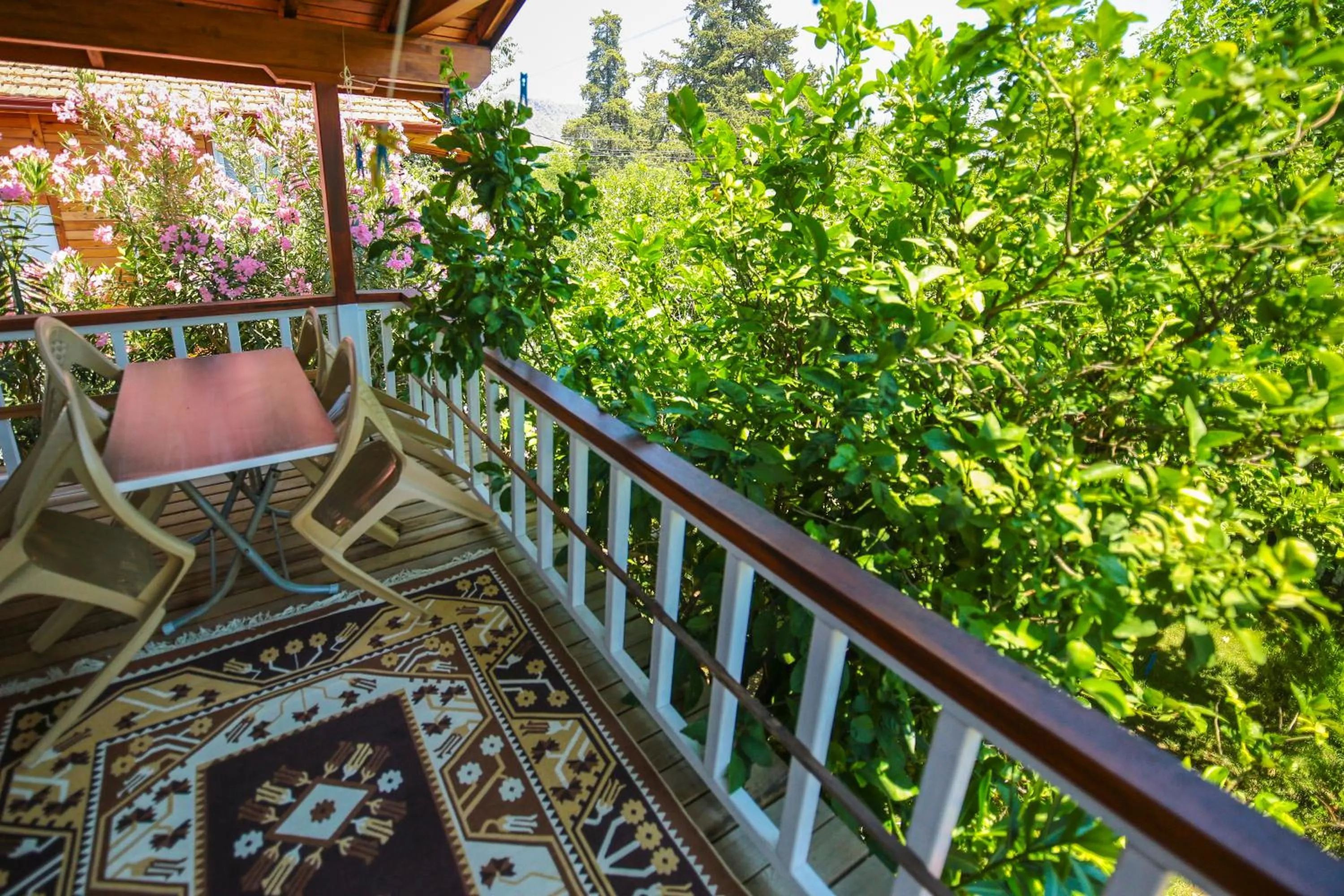 Balcony/Terrace in Villa Zeytin