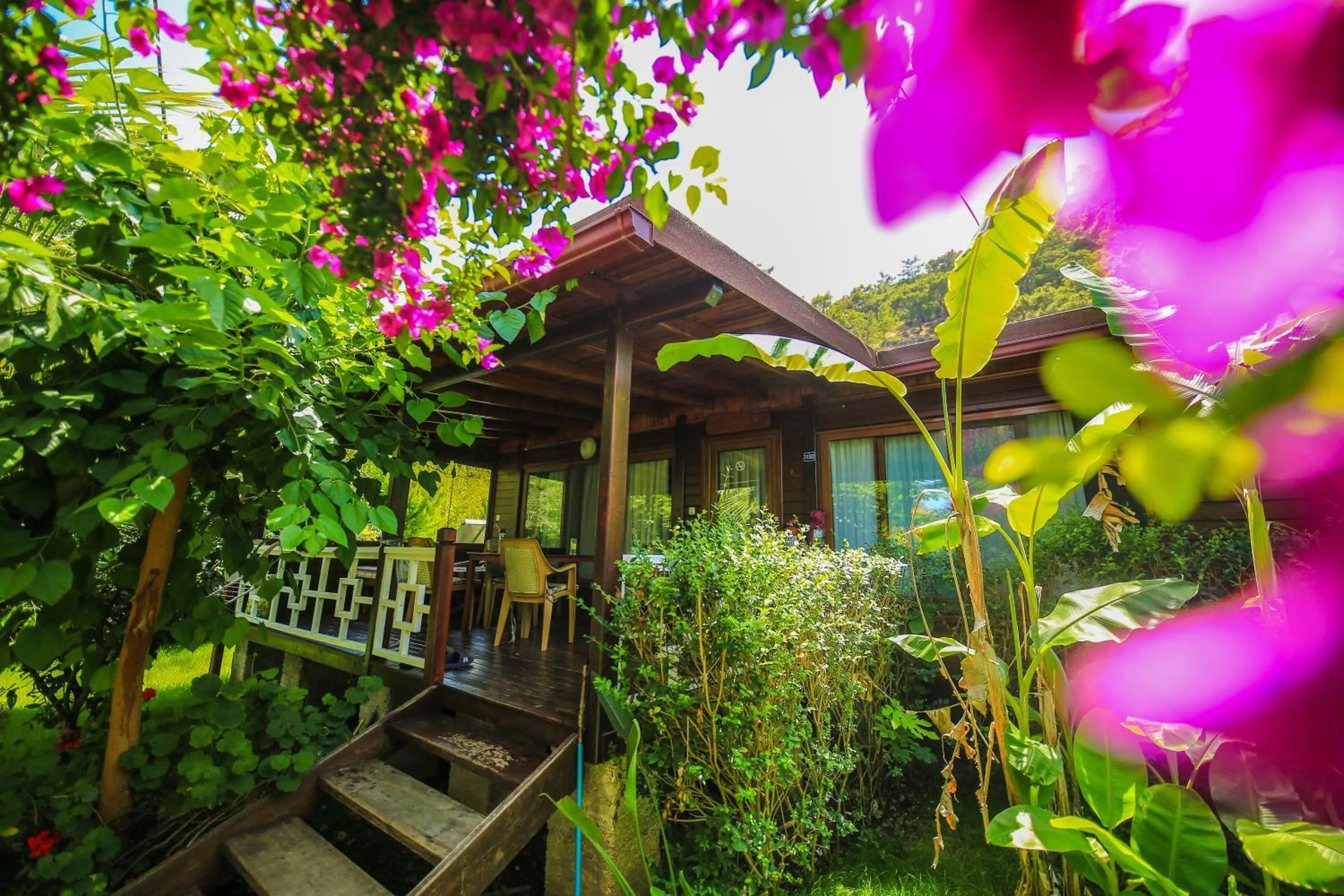 Garden view in Villa Zeytin