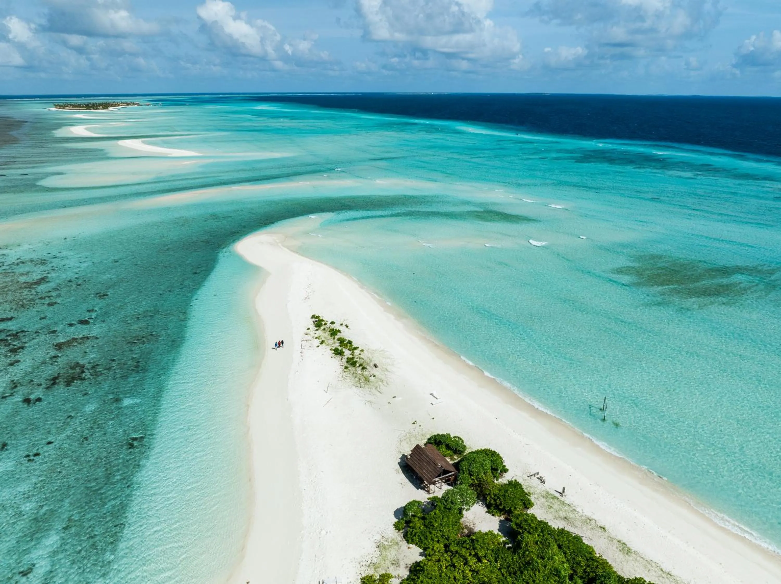 People in Whale Shark Boutique