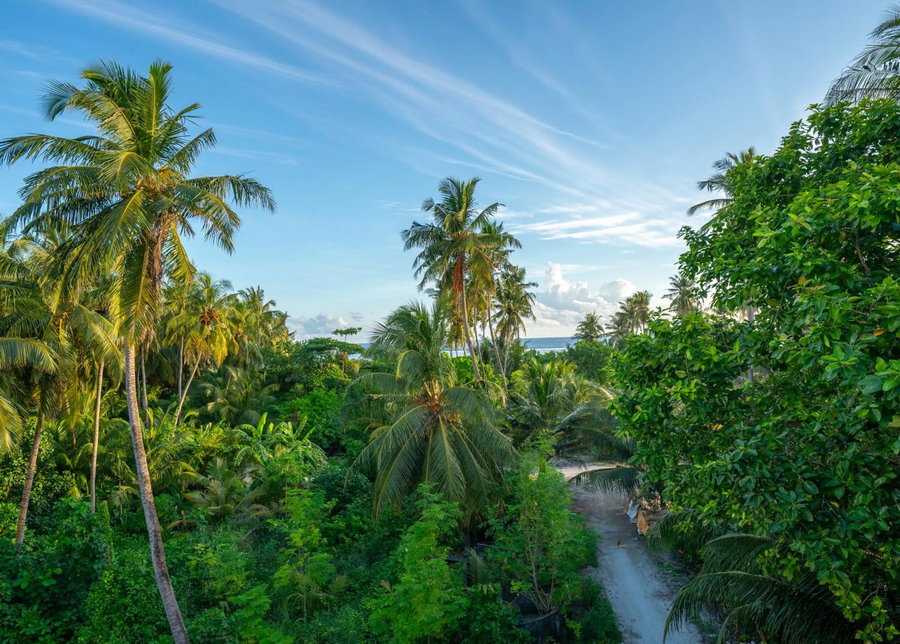 Sea view in Whale Shark Boutique
