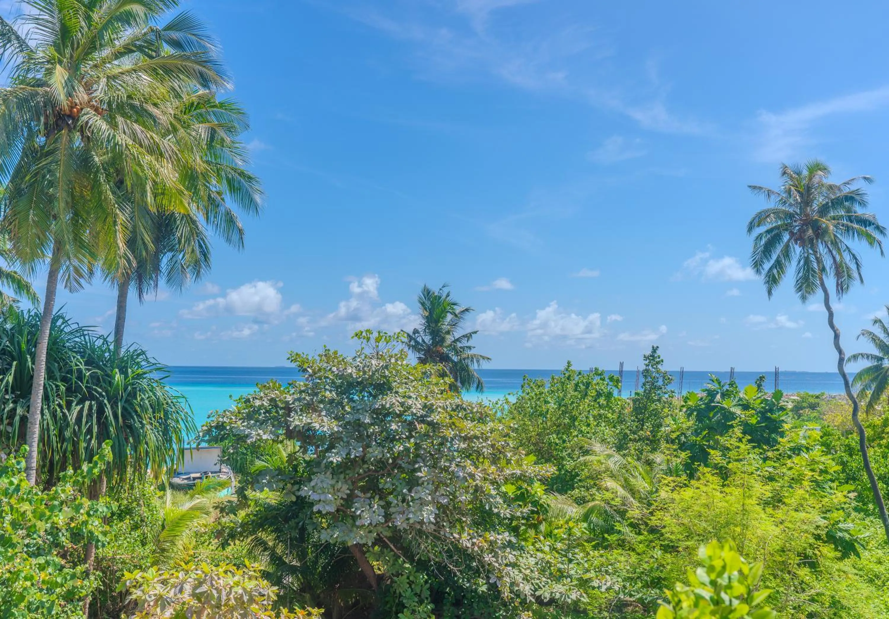 Nearby landmark in Whale Shark Boutique