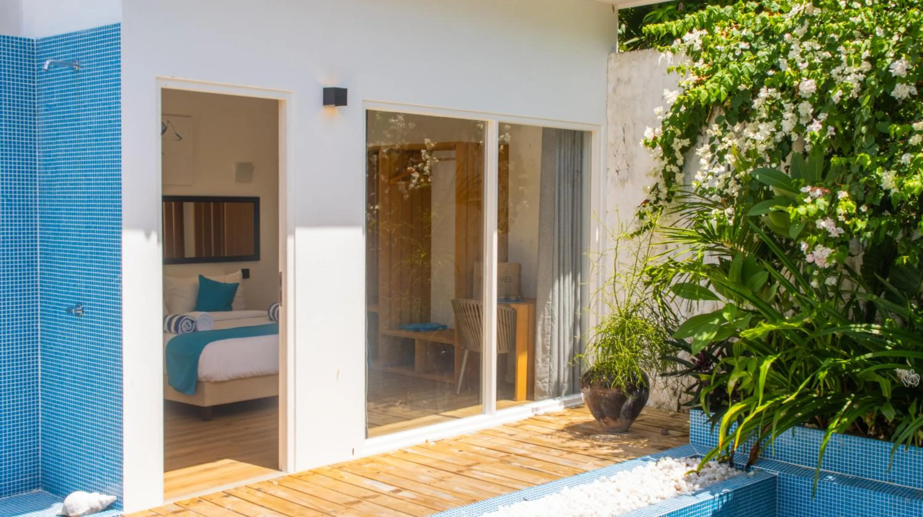 Property building in Whale Shark Boutique