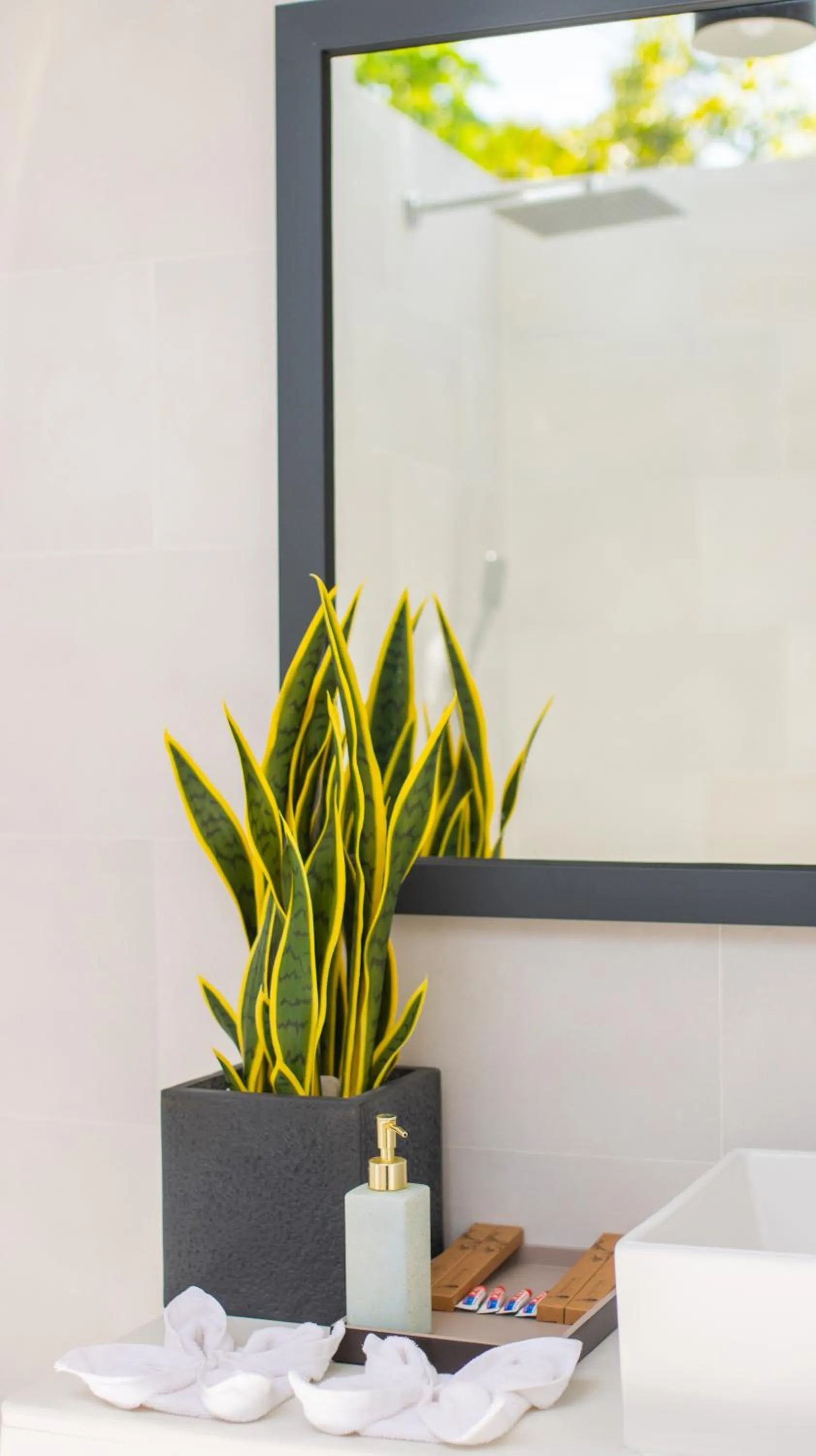 Toilet in Whale Shark Boutique