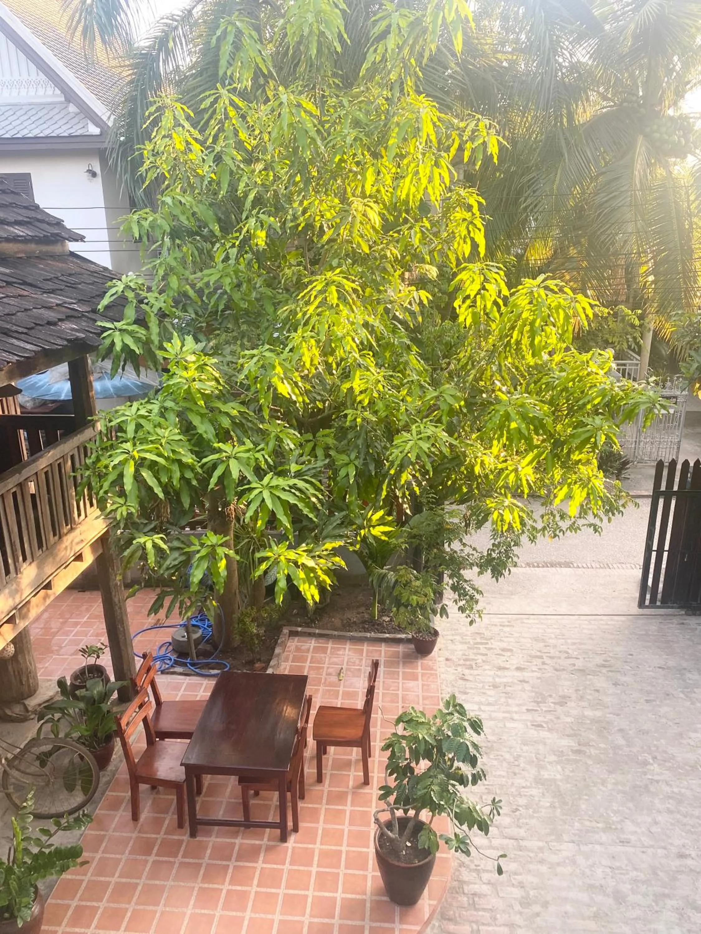 Garden view in Golden Sun Hotel