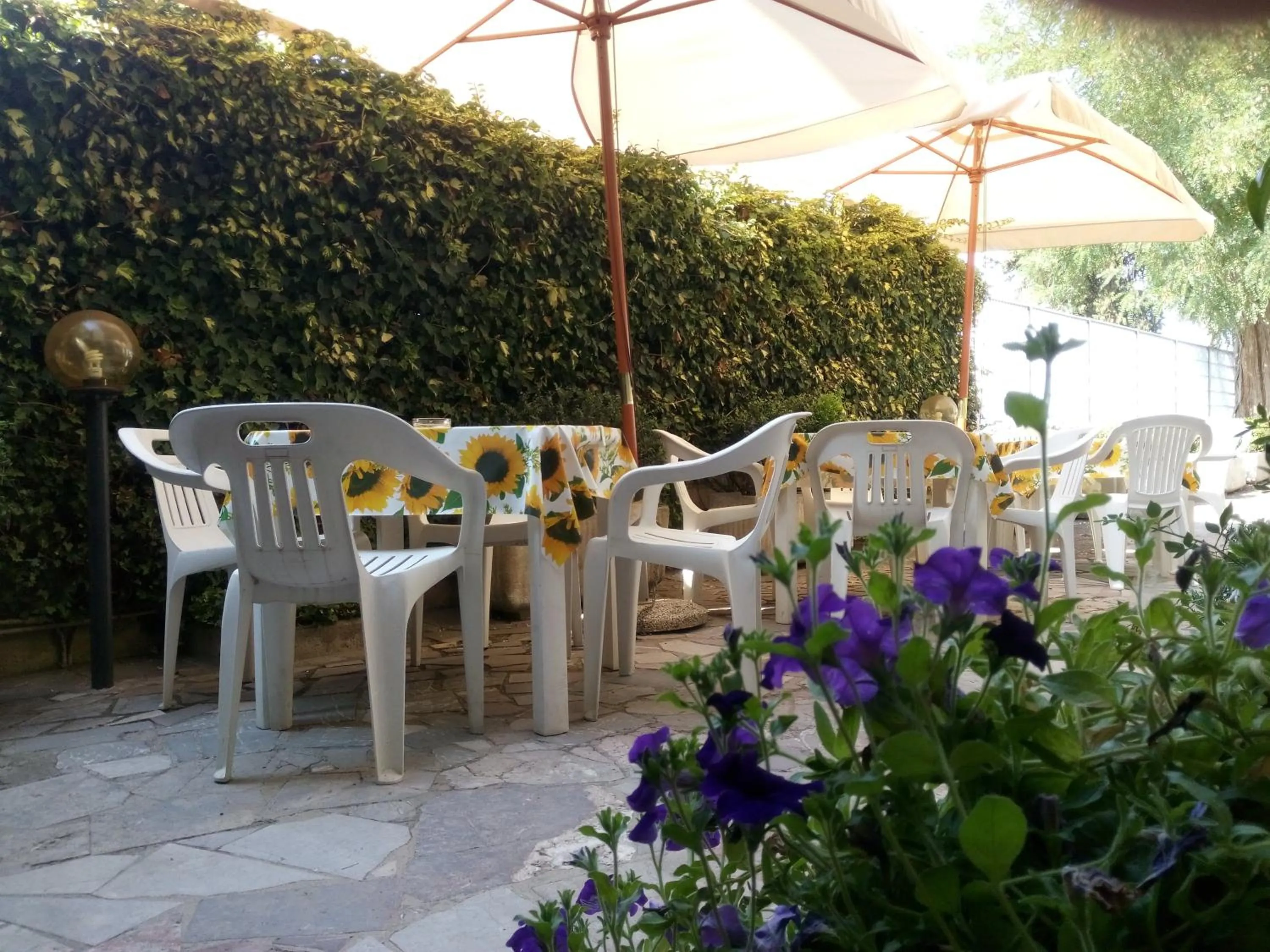 Patio in Hotel Lea