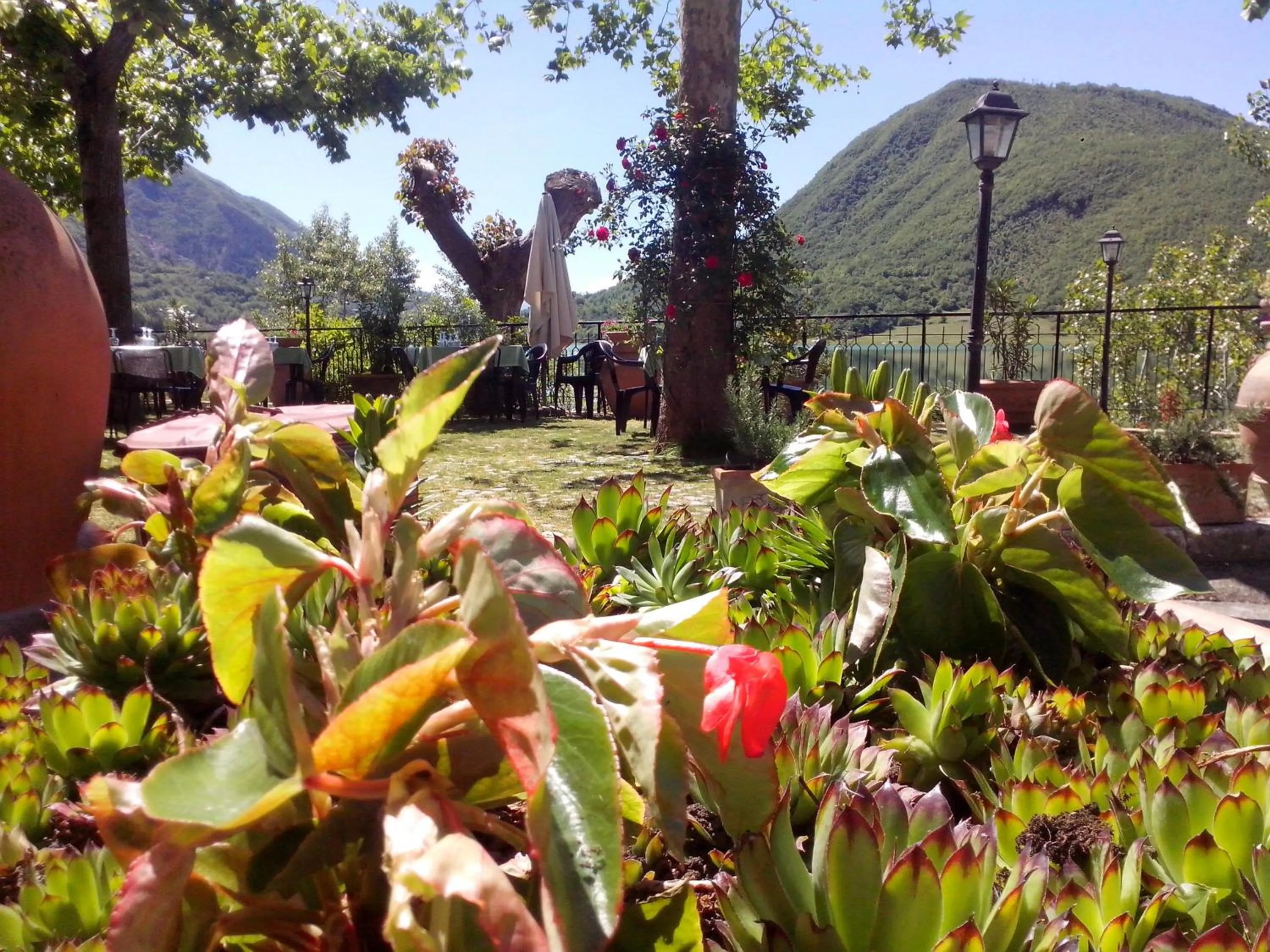 Garden in Hotel Turano
