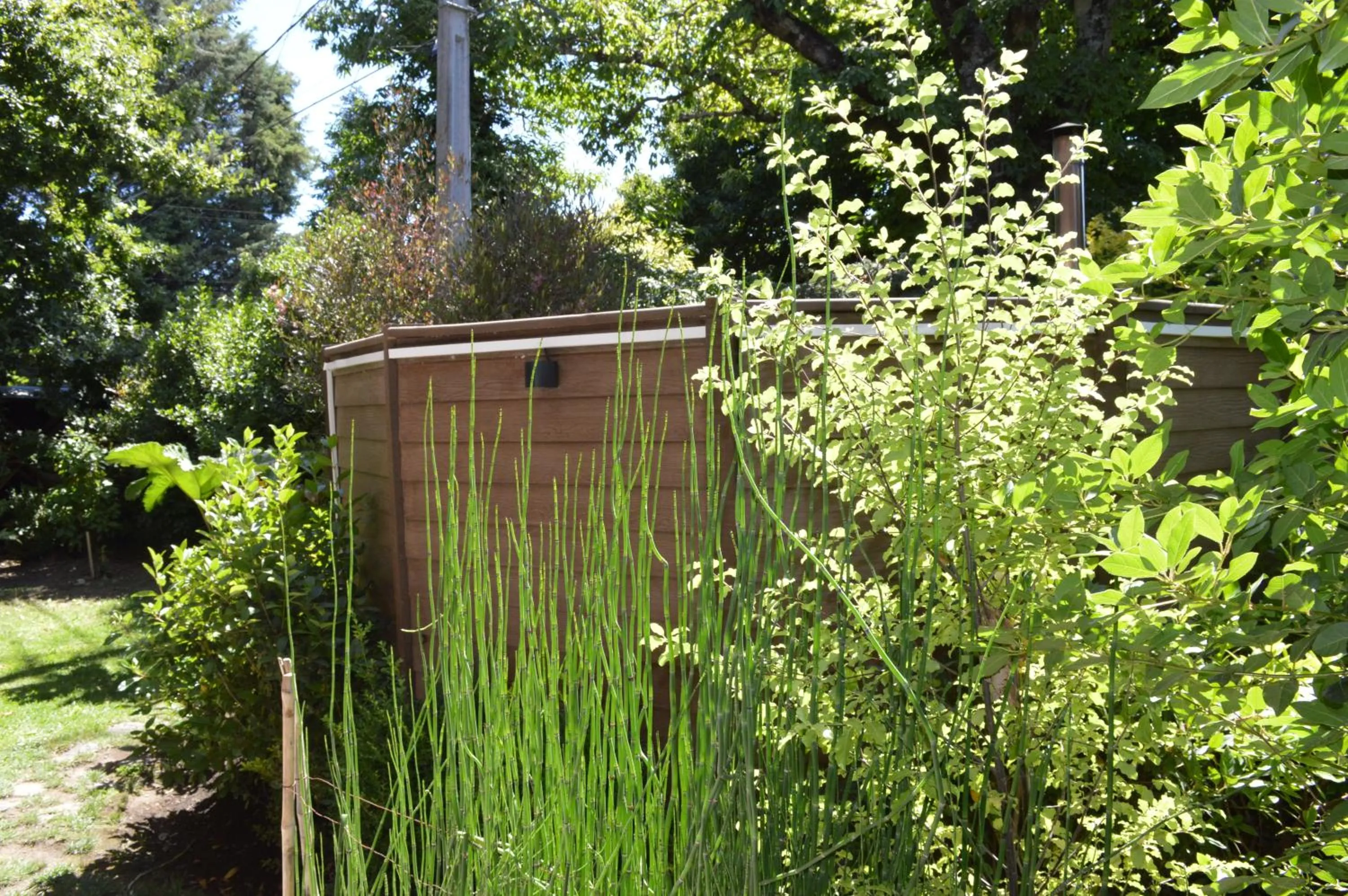 Garden in Cocurantu Hotel Boutique