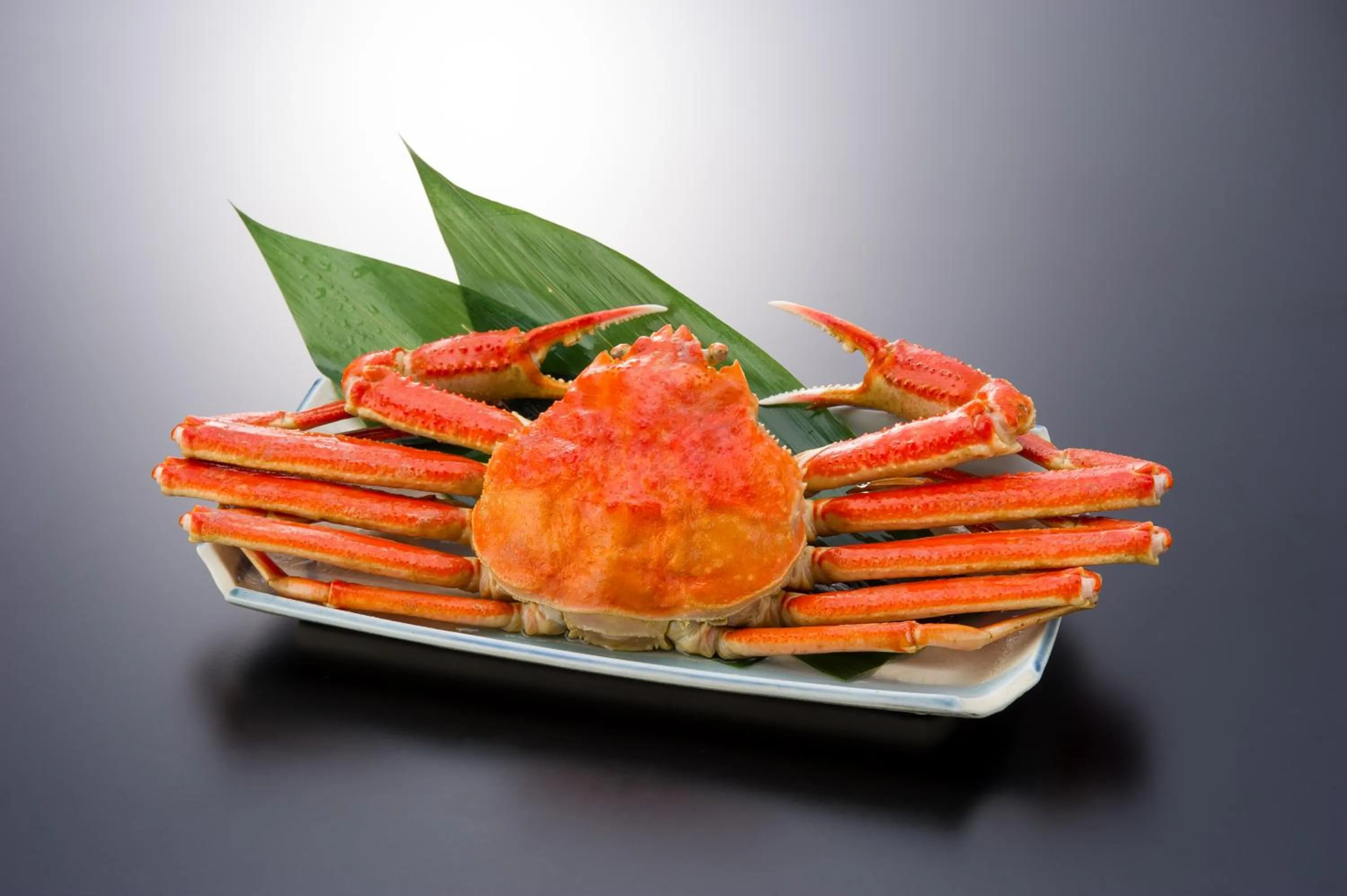 Dinner in Tsukimotoya Ryokan