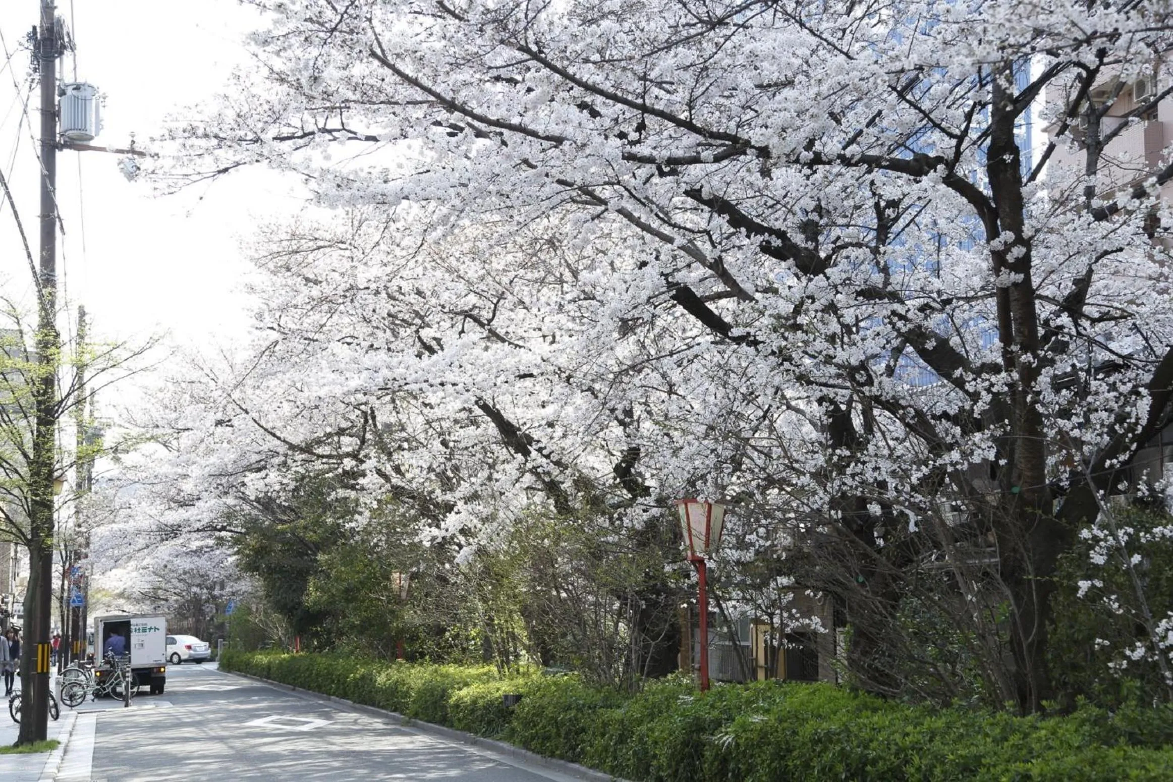 Area and facilities in Aoi Hotel Kyoto