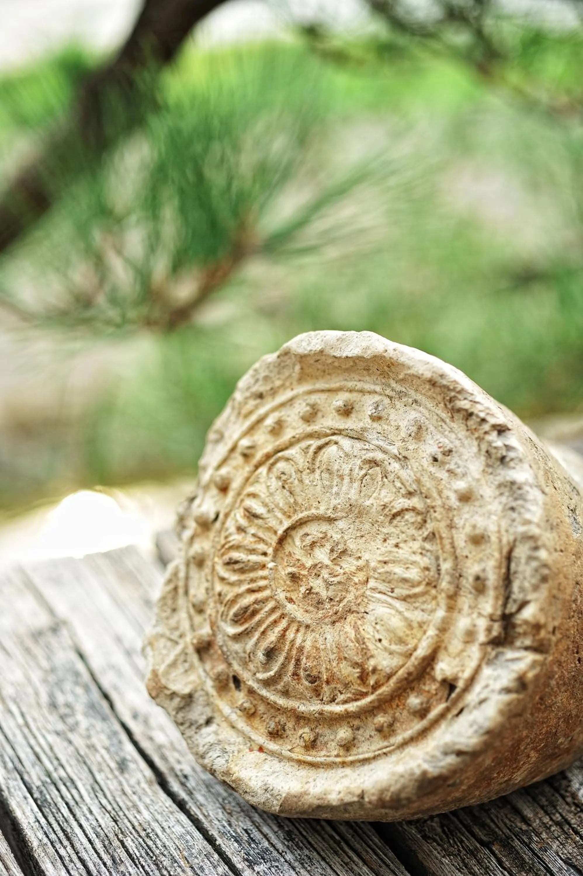 Other in Aoi Hotel Kyoto