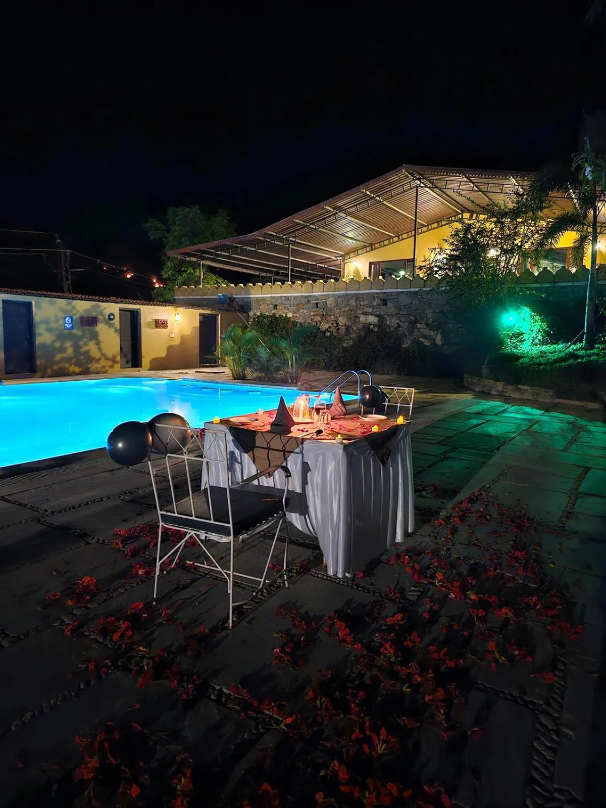 Pool view in Kumbhalgarh Safari Camp by Trulyy