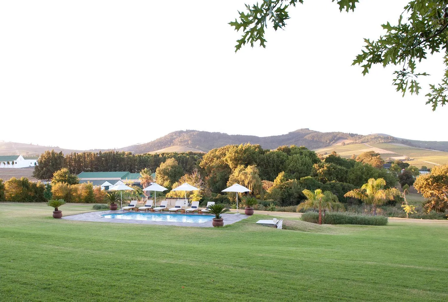 Pool view in Cultivar Boutique Hotel