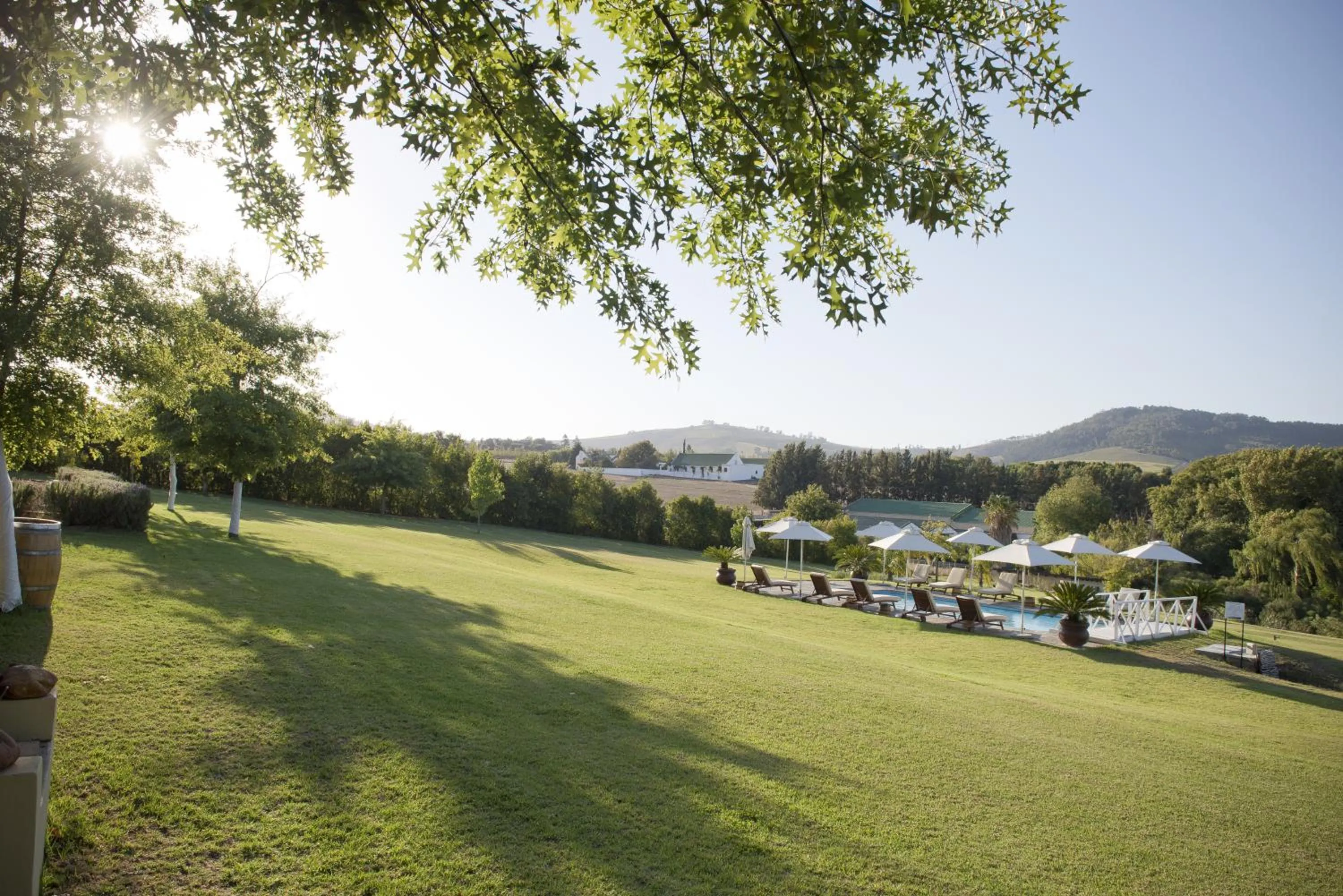 View (from property/room) in Cultivar Boutique Hotel