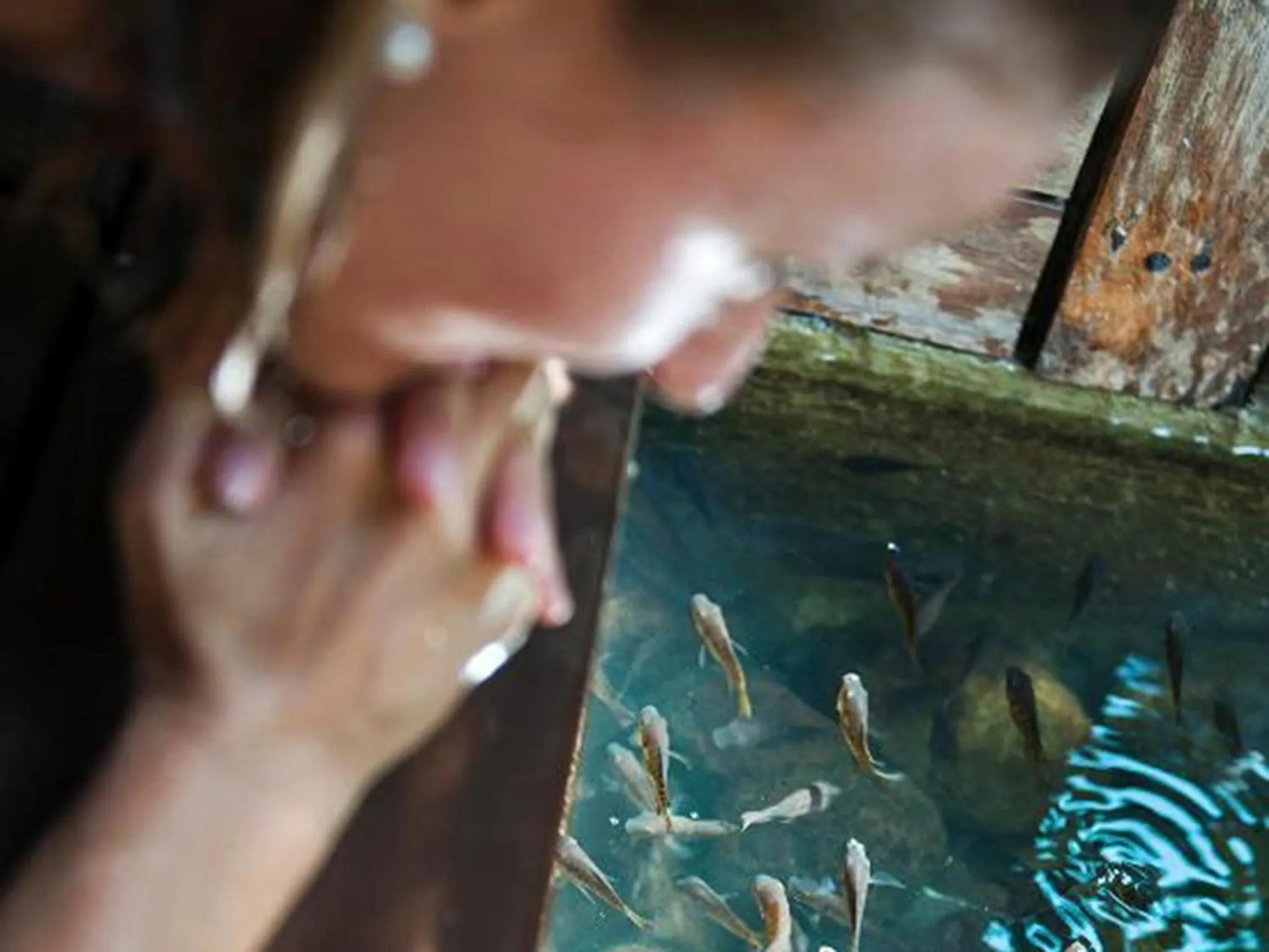 Garden in Villa Bhuvana with private swimming pool