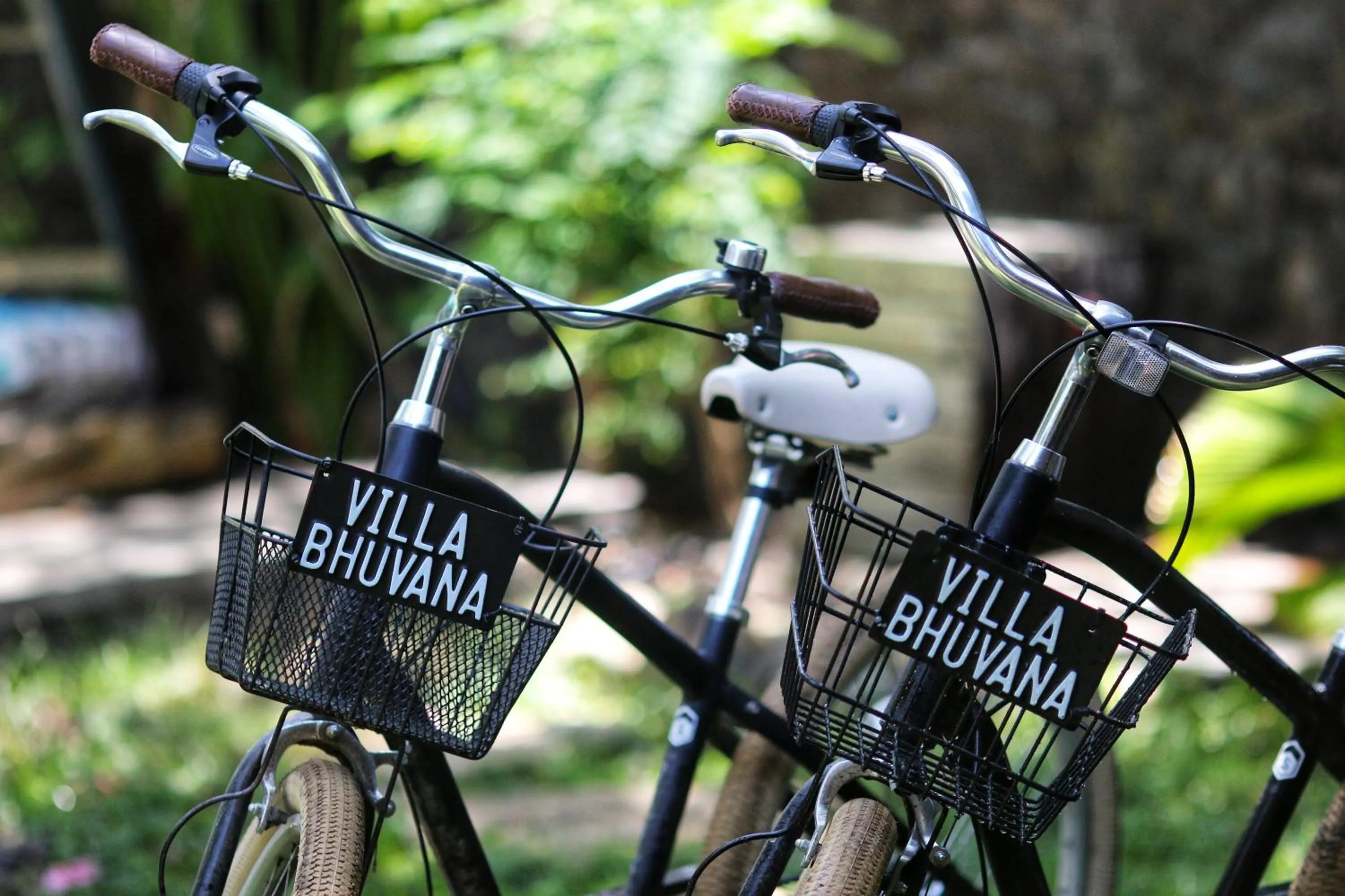 Activities in Villa Bhuvana with private swimming pool