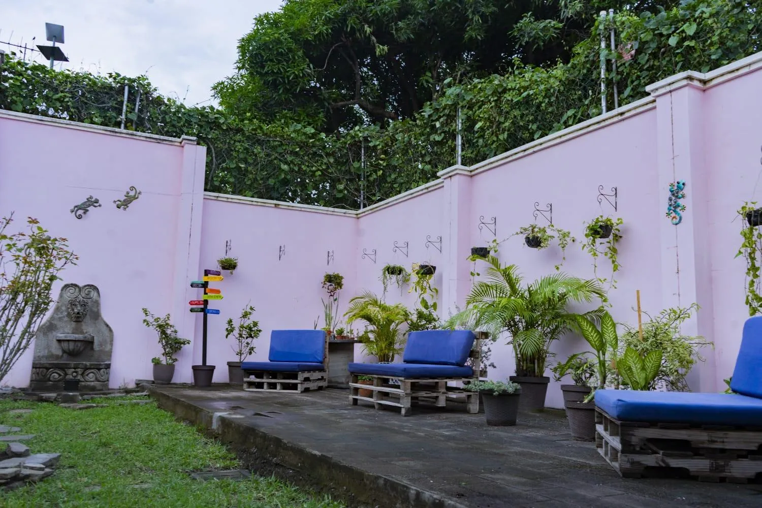 Garden in Hostal Casa Luna