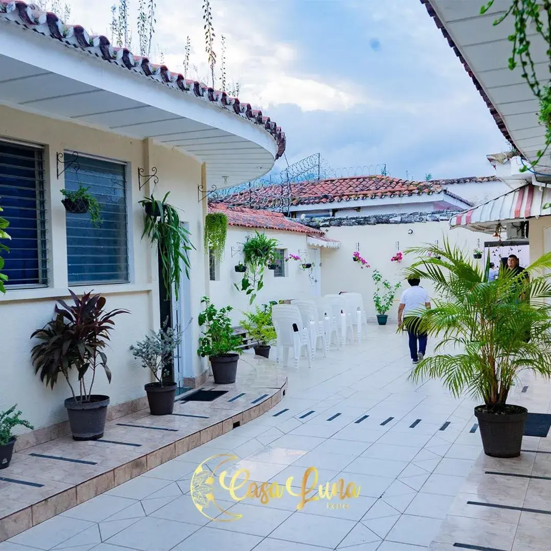 Garden in Hostal Casa Luna Garden in Hostal Casa Luna