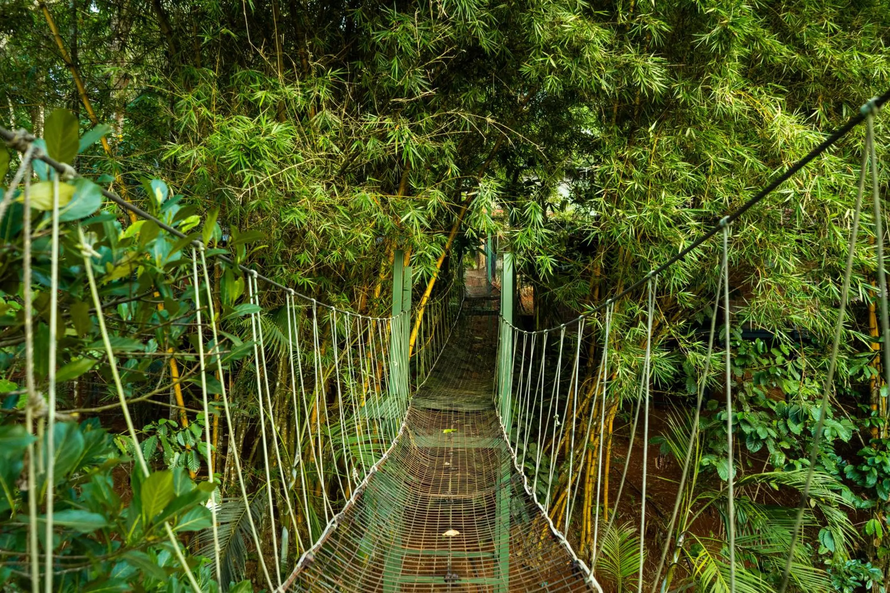 Day in Wayanad Ranches Resorts