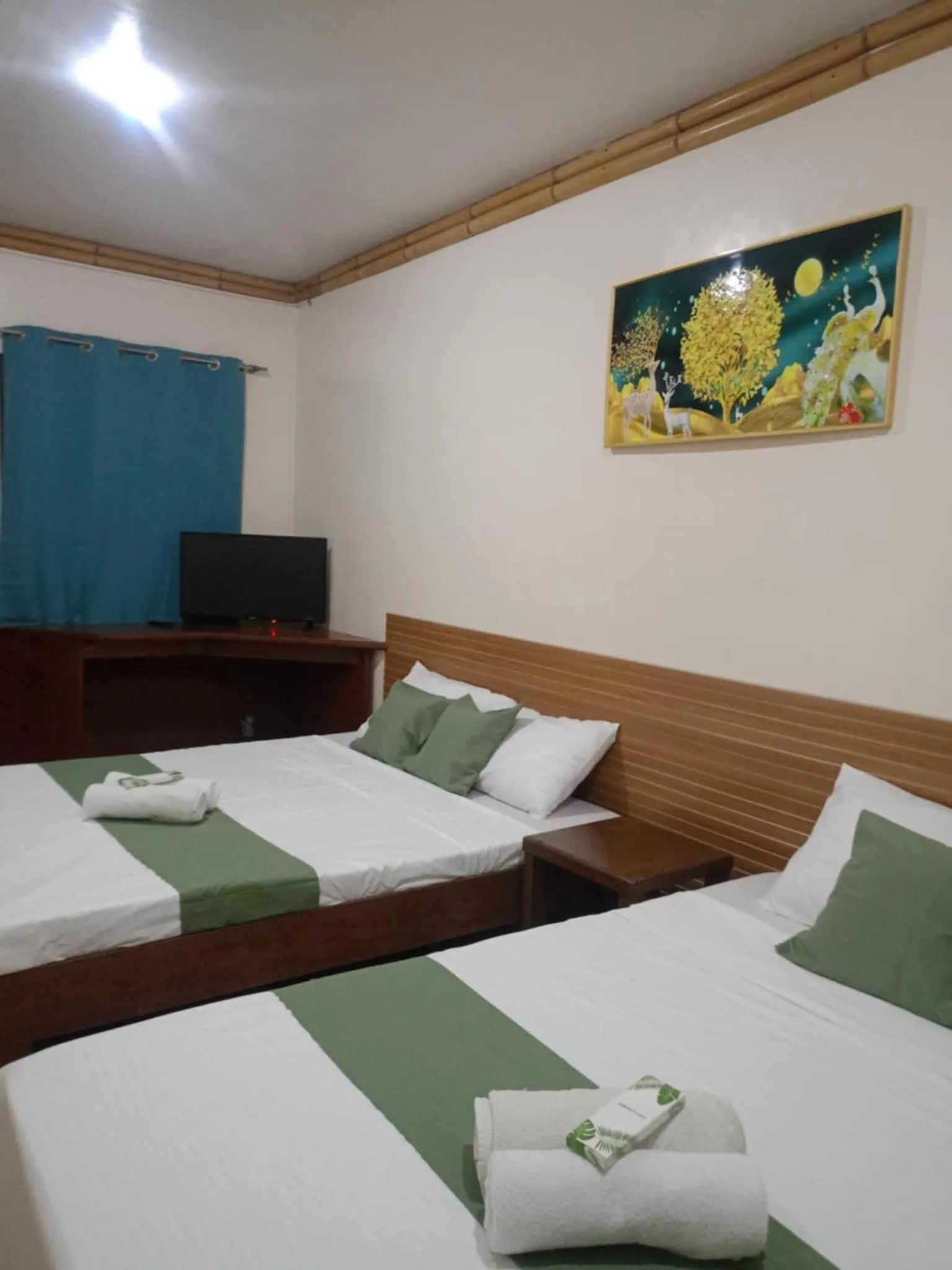 Photo of the whole room in Mendelluke Suites