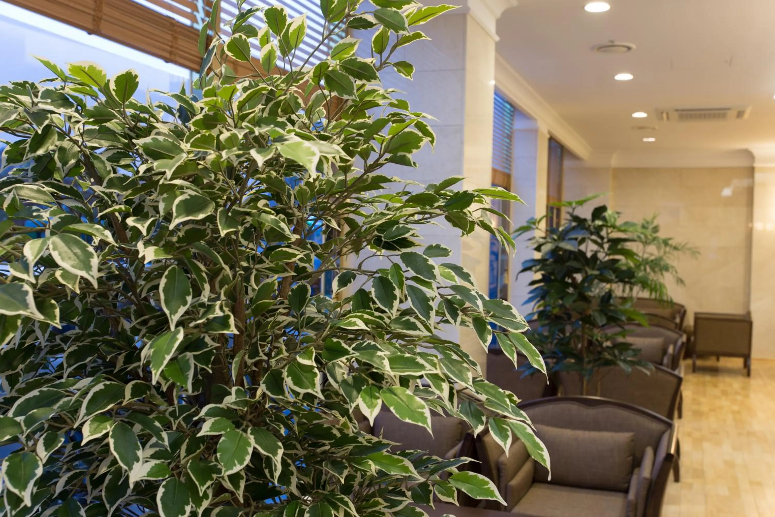 Other in Fontana Beach Hotel