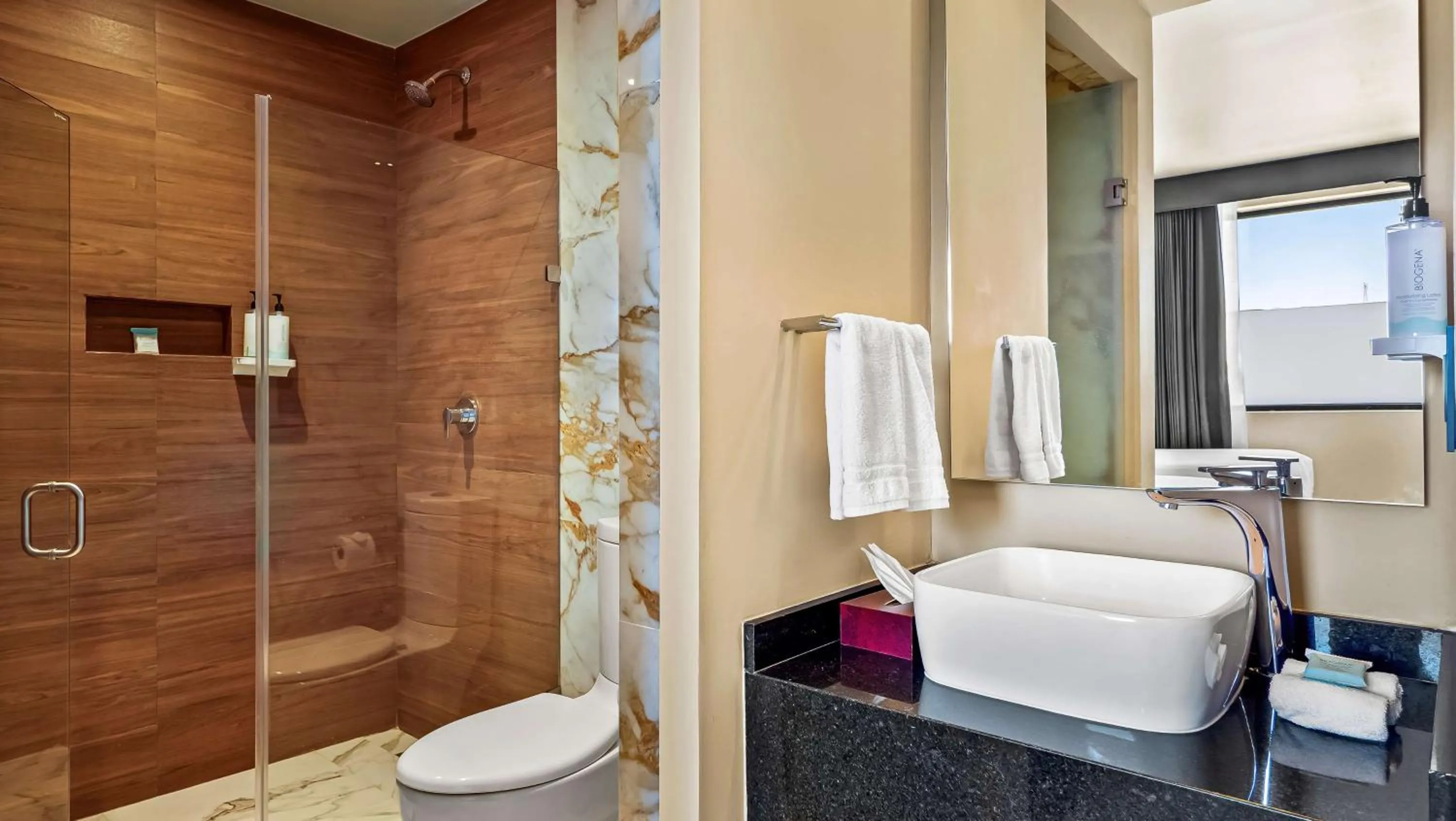 Bathroom in Hampton By Hilton Queretaro Juriquilla