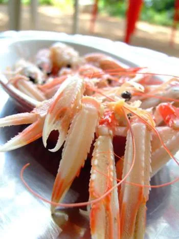 Food close-up in Hotel Touring