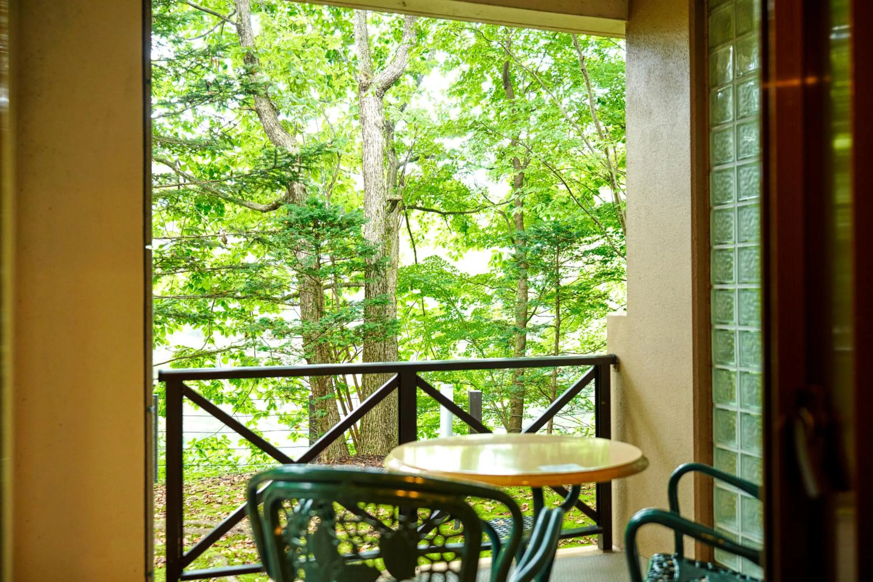 Balcony/Terrace in Tokyu Vacations Karuizawa