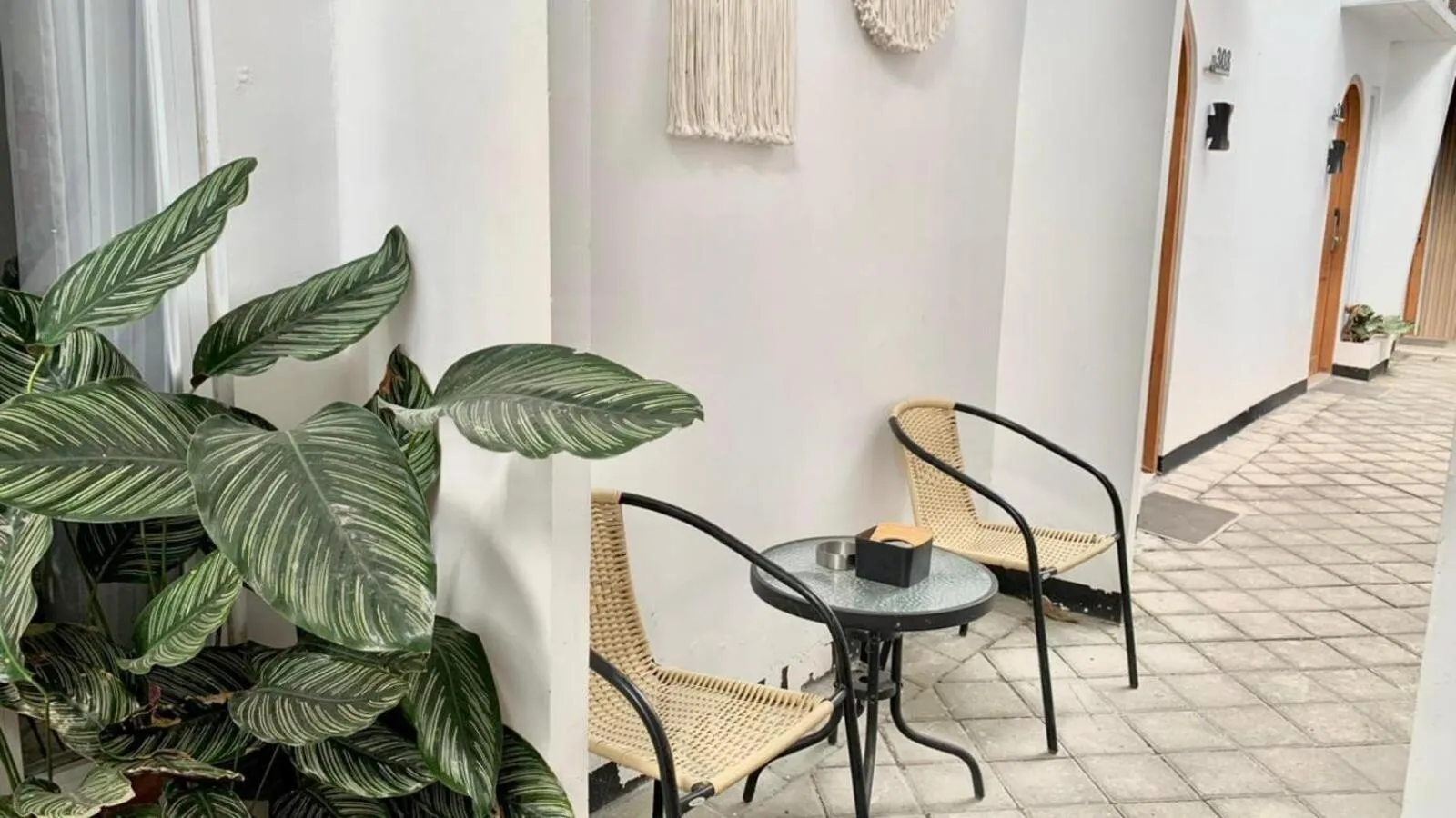 Living room in Baliem CoLiving