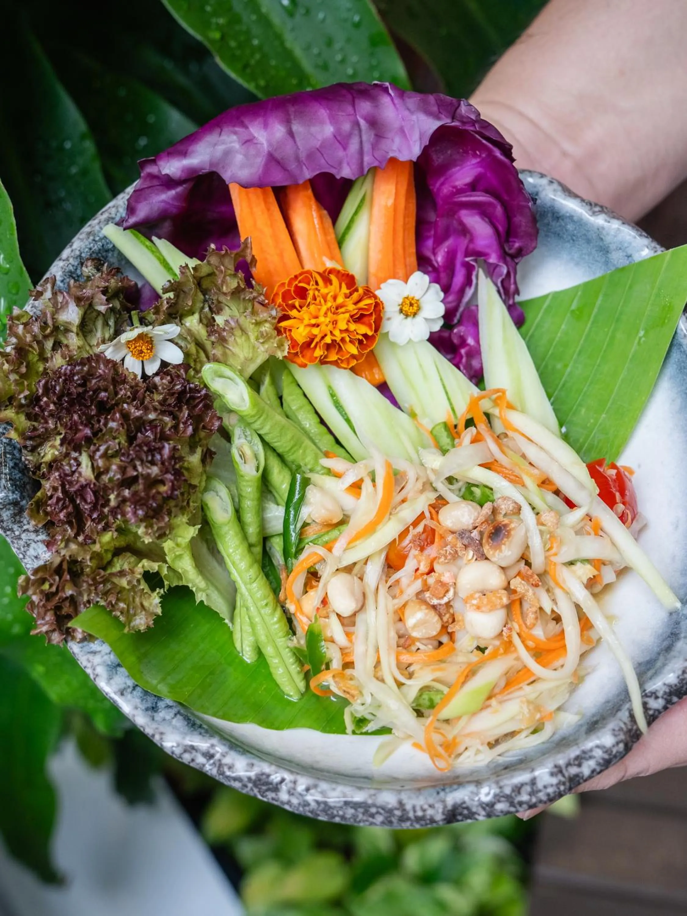 Restaurant/places to eat in Chalong Marina Bay View Phuket