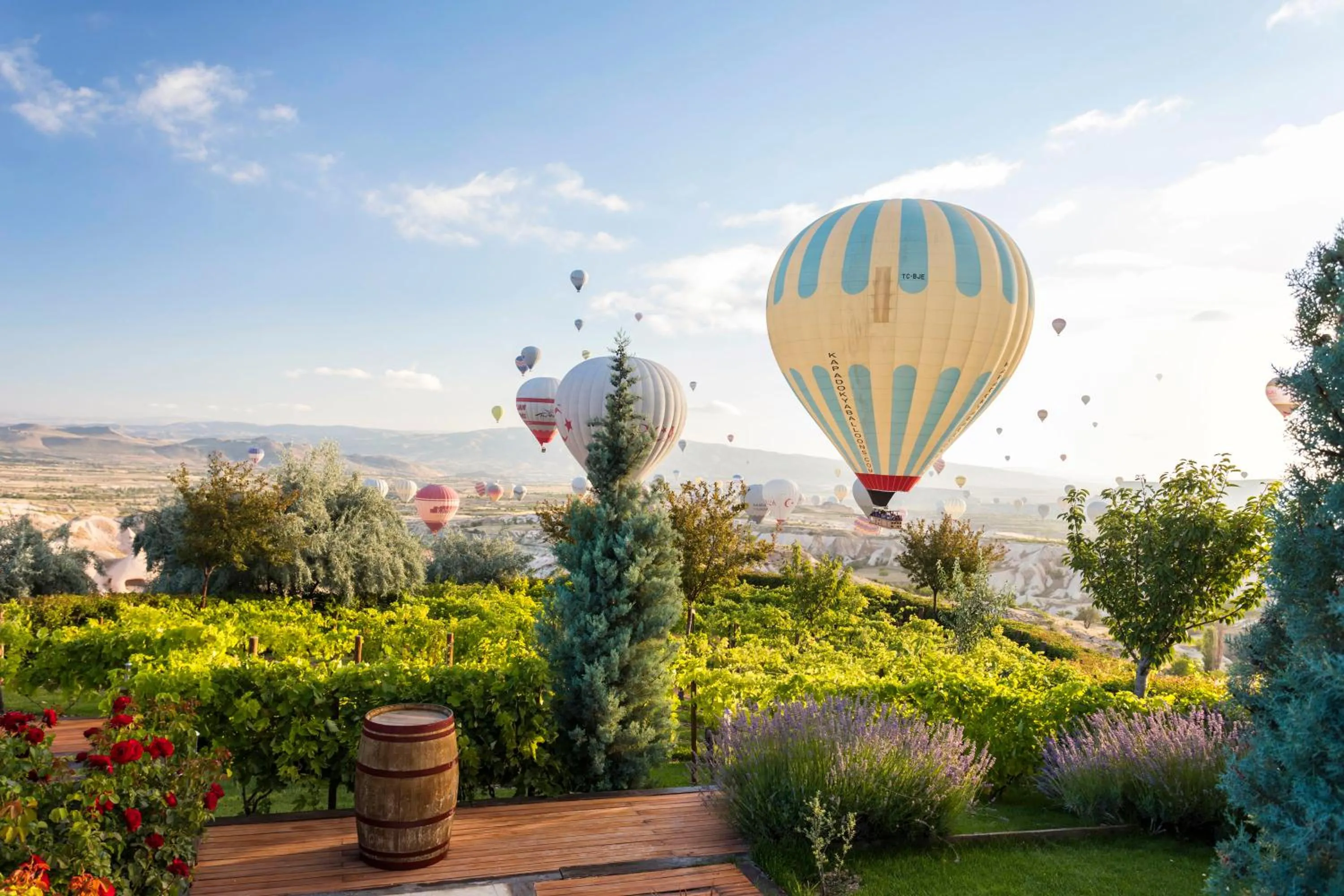 Area and facilities in Ariana Sustainable Luxury Lodge - Special Category - Cappadocia