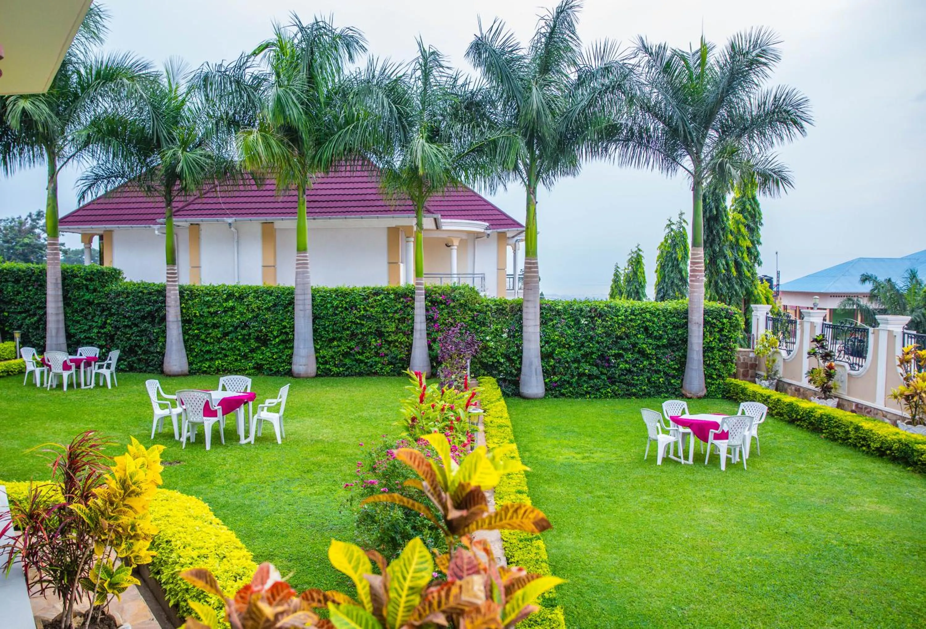 Dinner in Mountain's View Hotel