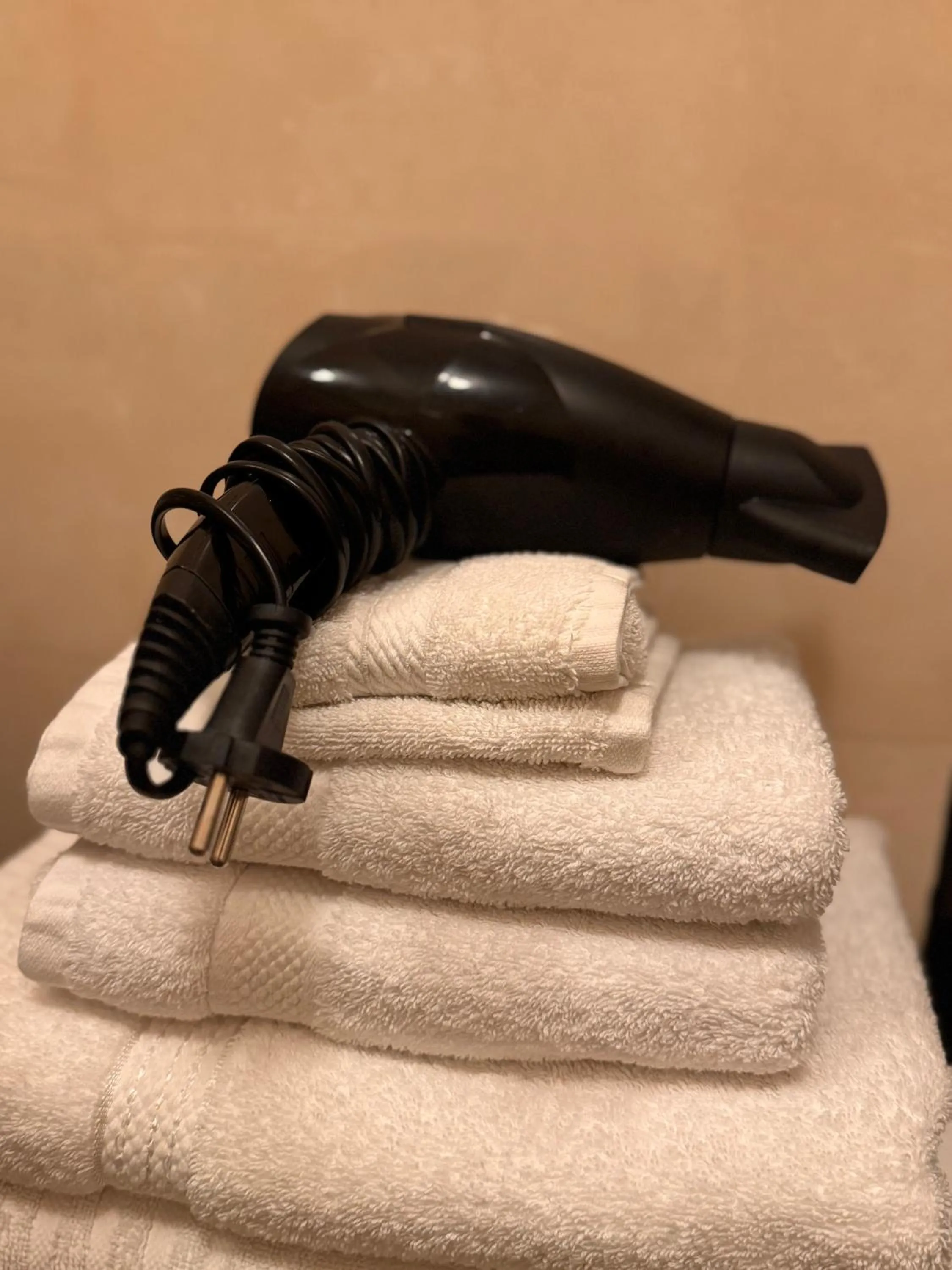 Toilet in Décor Canal House