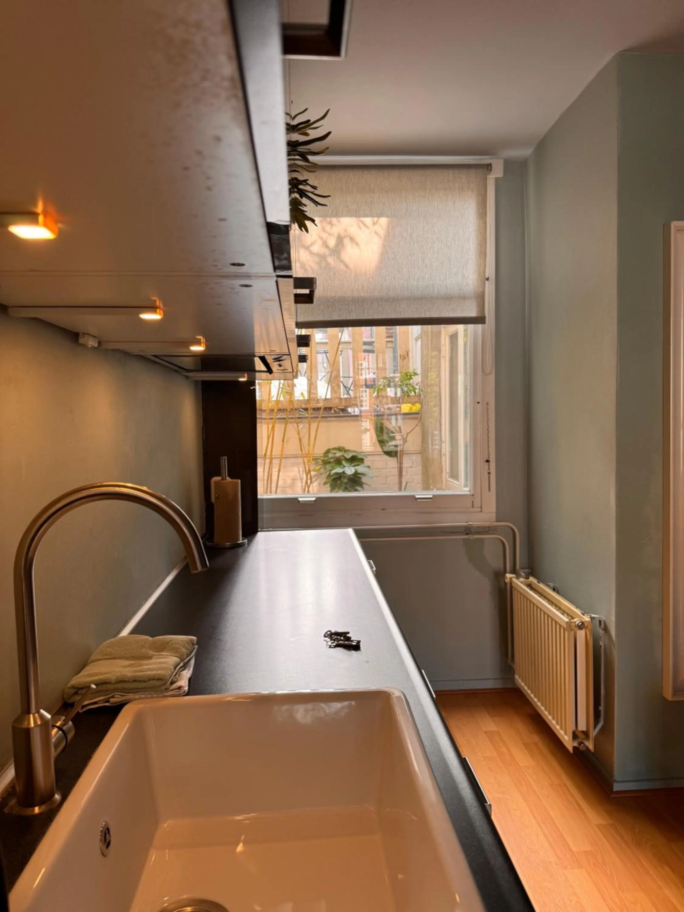 Garden view in Décor Canal House