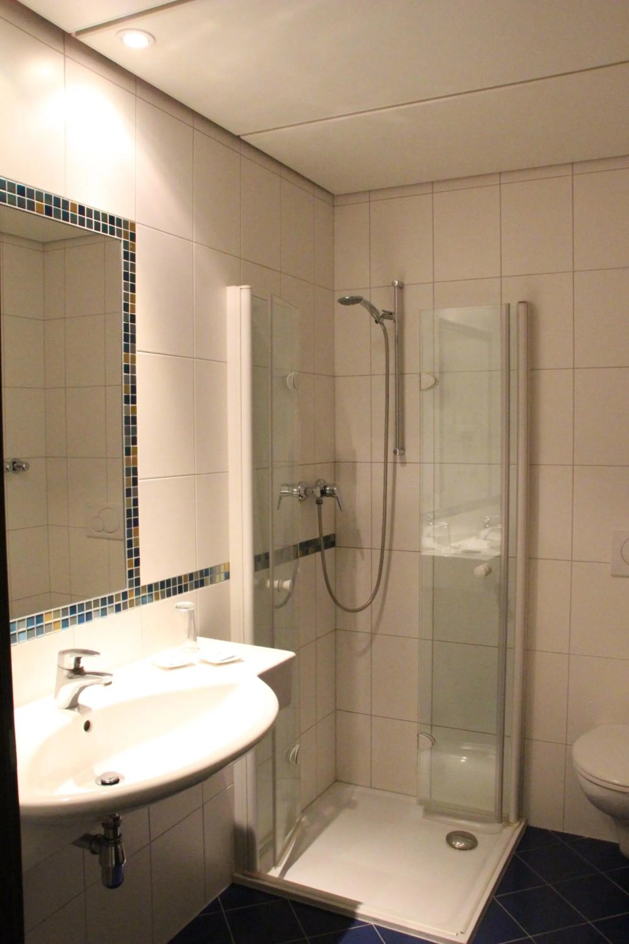 Shower in Hotel Alhartinger Hof