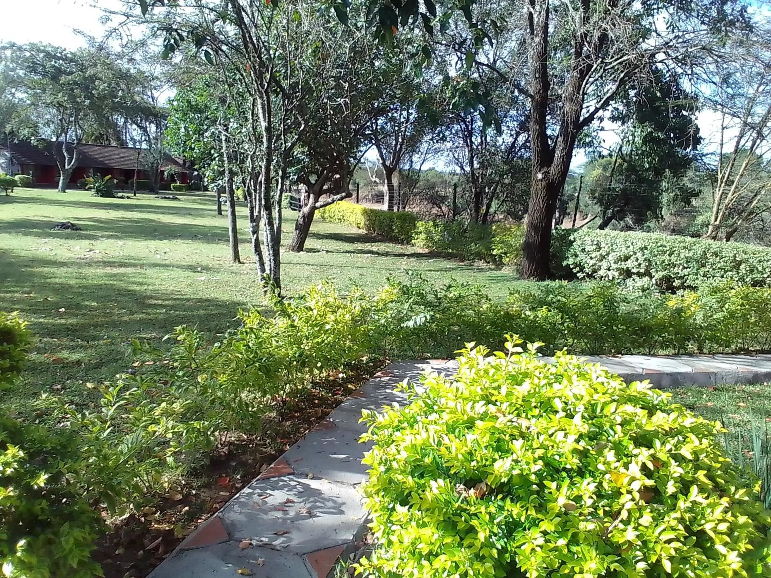 Property building in Mara River Lodge