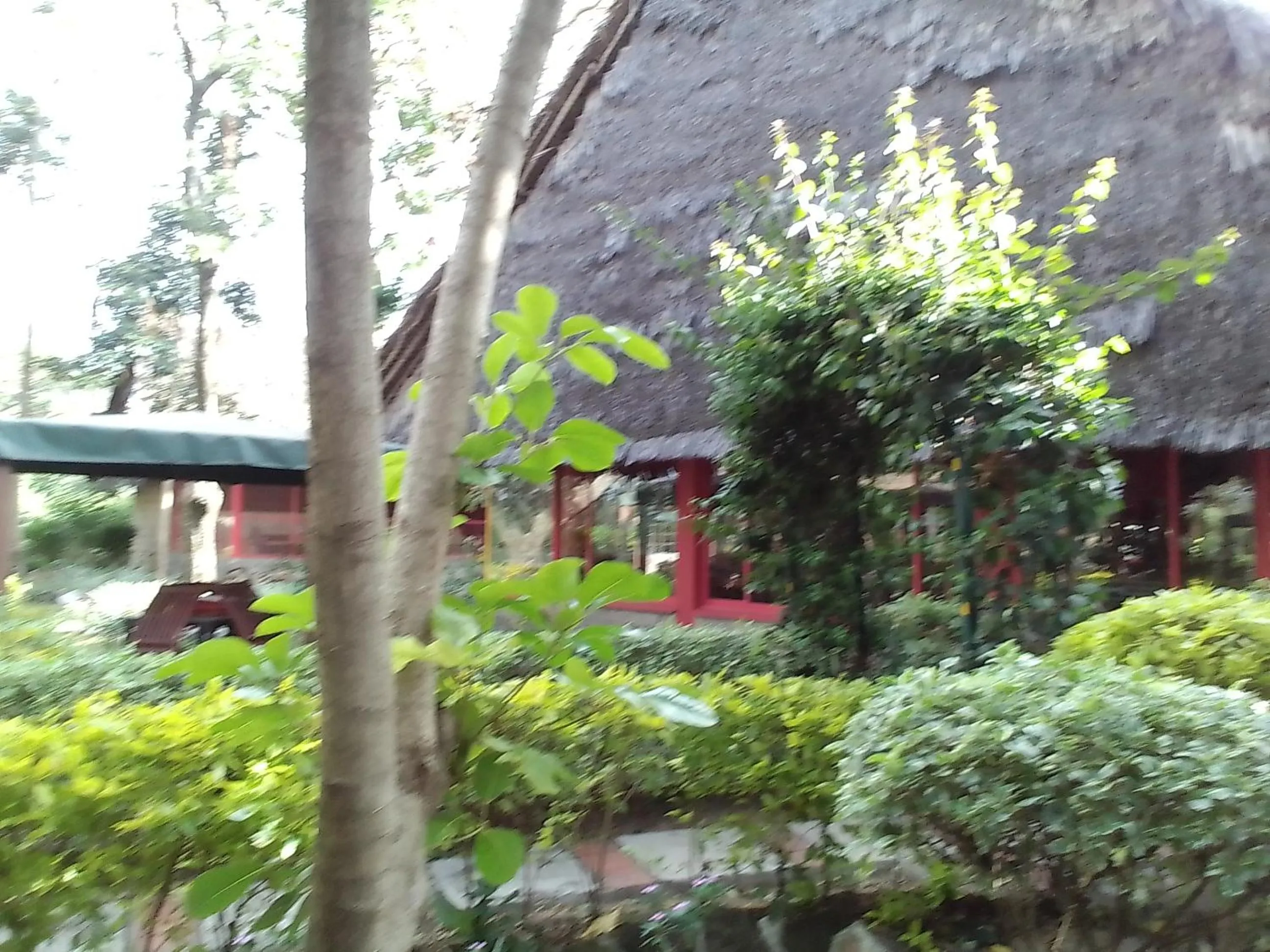 Property building in Mara River Lodge